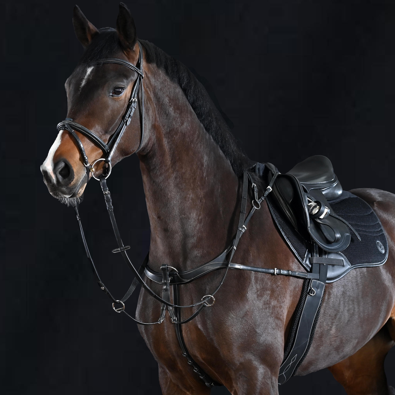 Front harness Take-Off Line AP