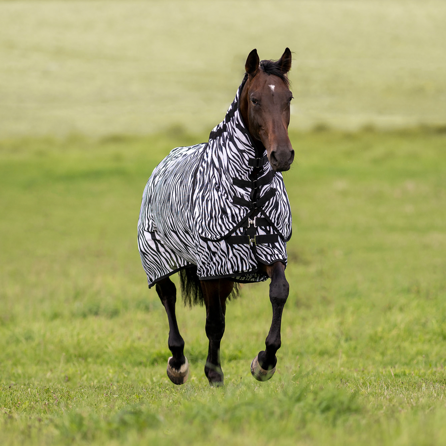 Outdoor-Fliegendecke Comfort Flexi Zebra