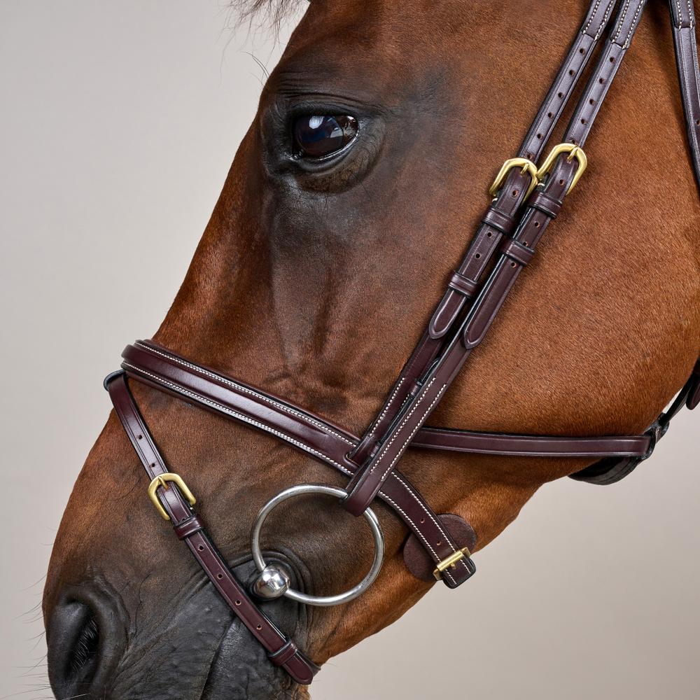 Difference Trense DY DY | Dy'on