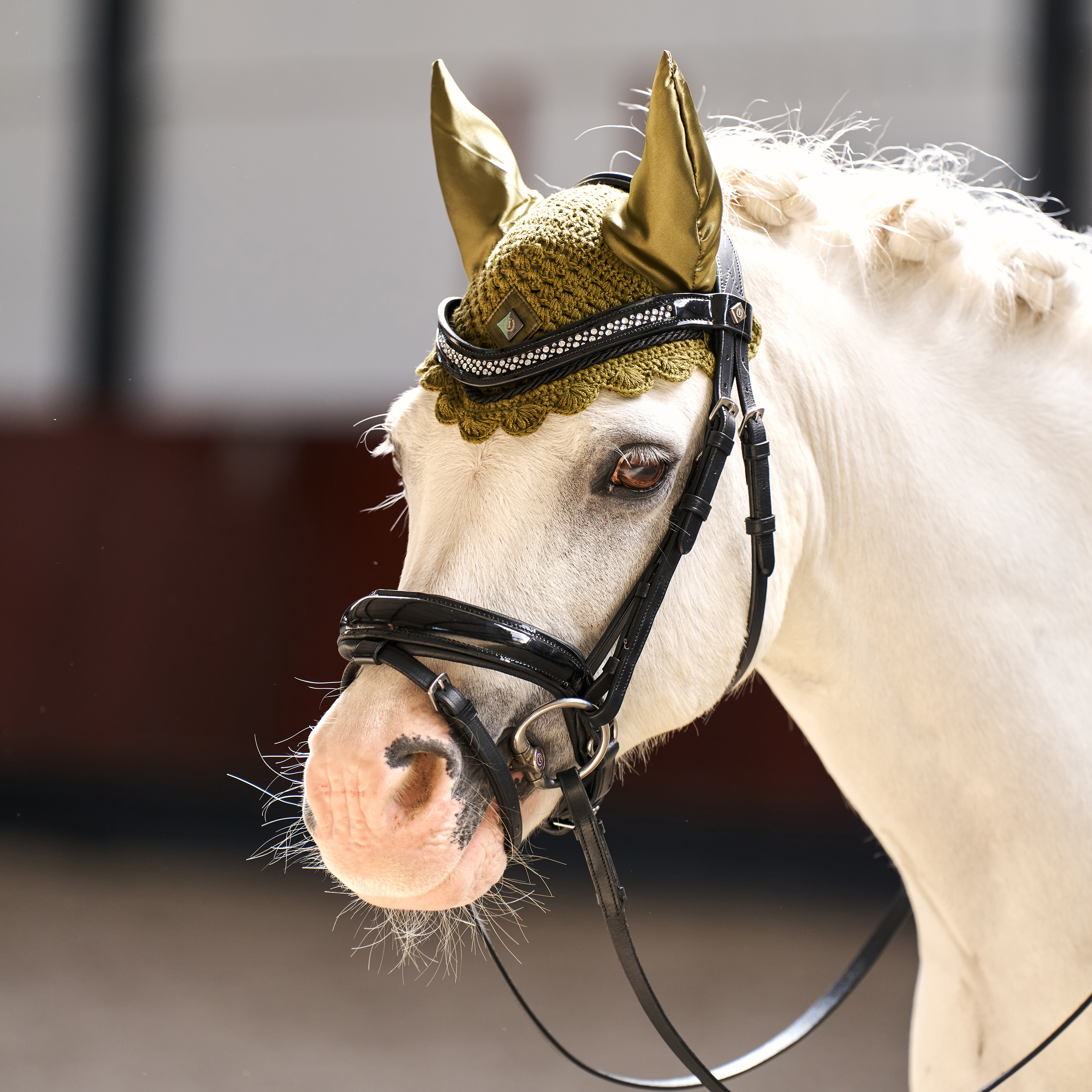 Fliegenhaube Rebel