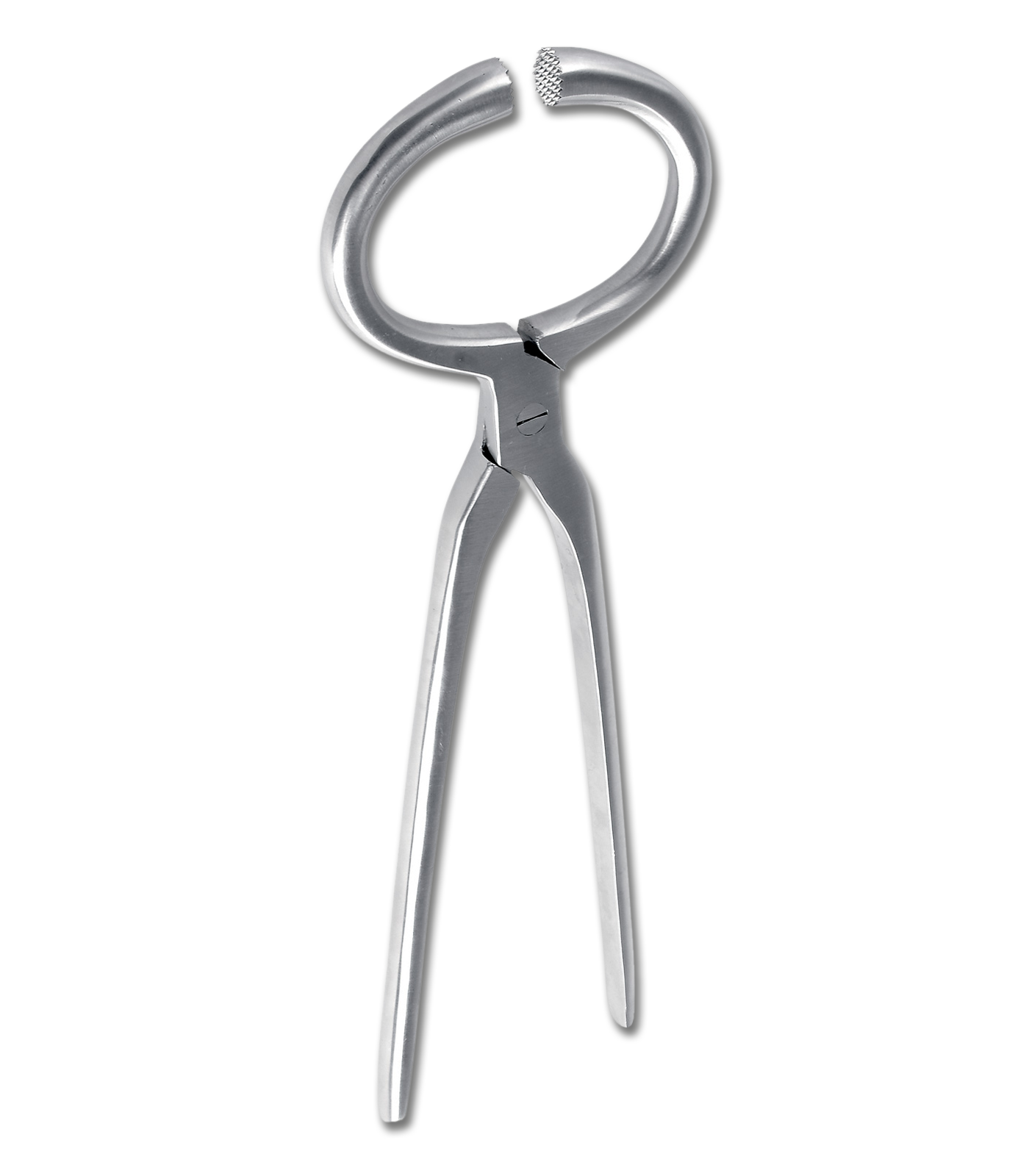 Hufuntersuchungszange, Edelstahl