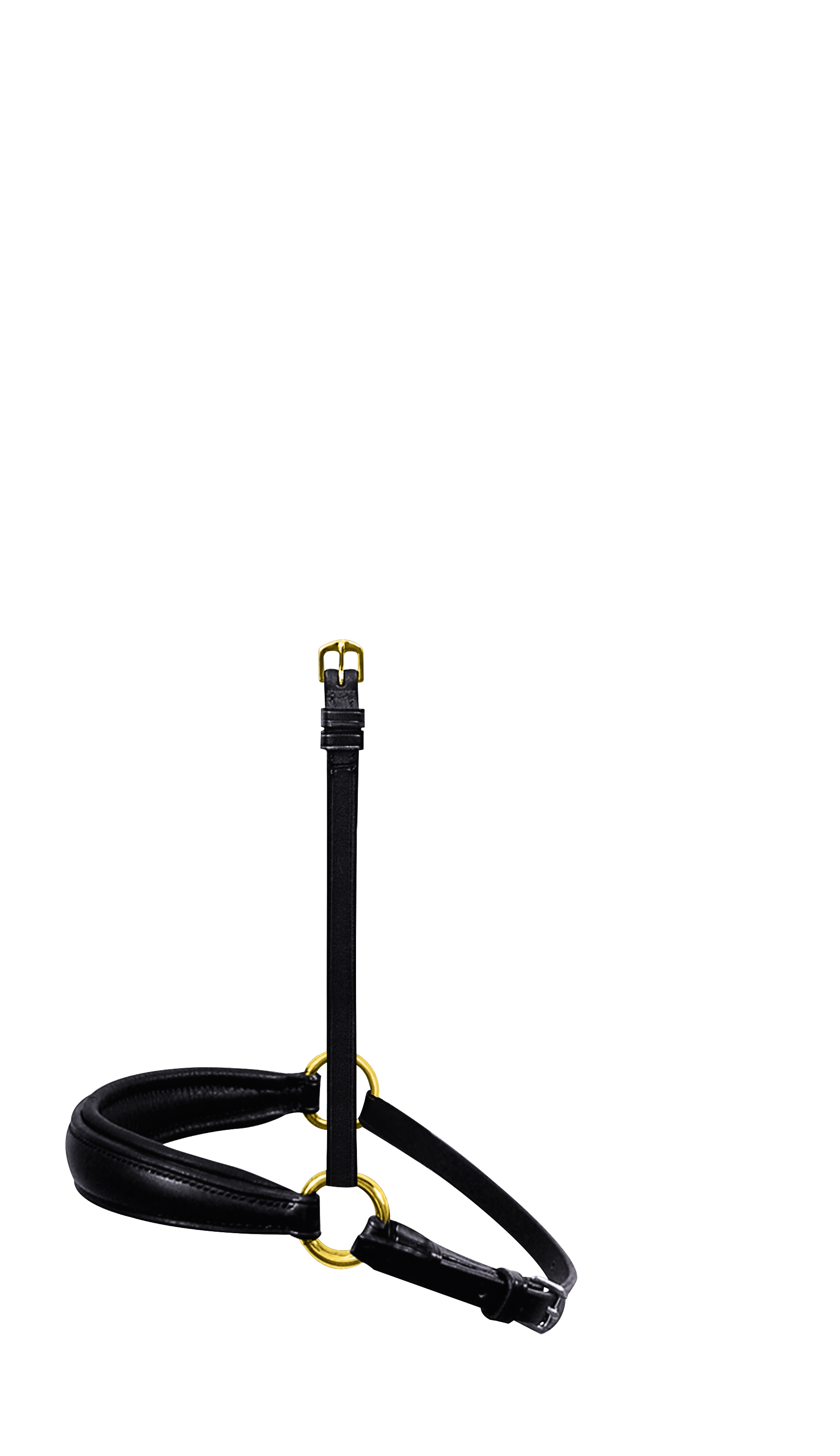 Hanoverian noseband