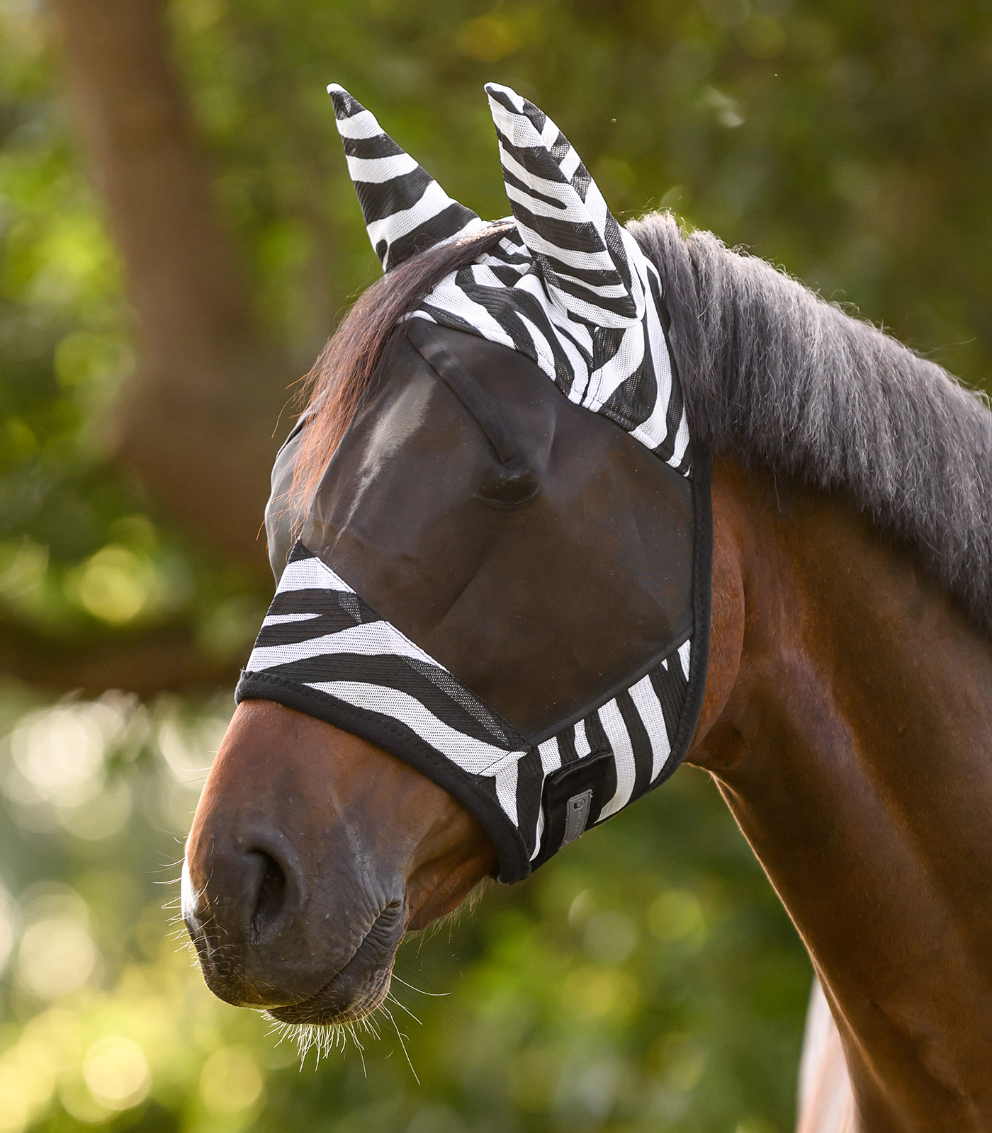 Zebra fly mask