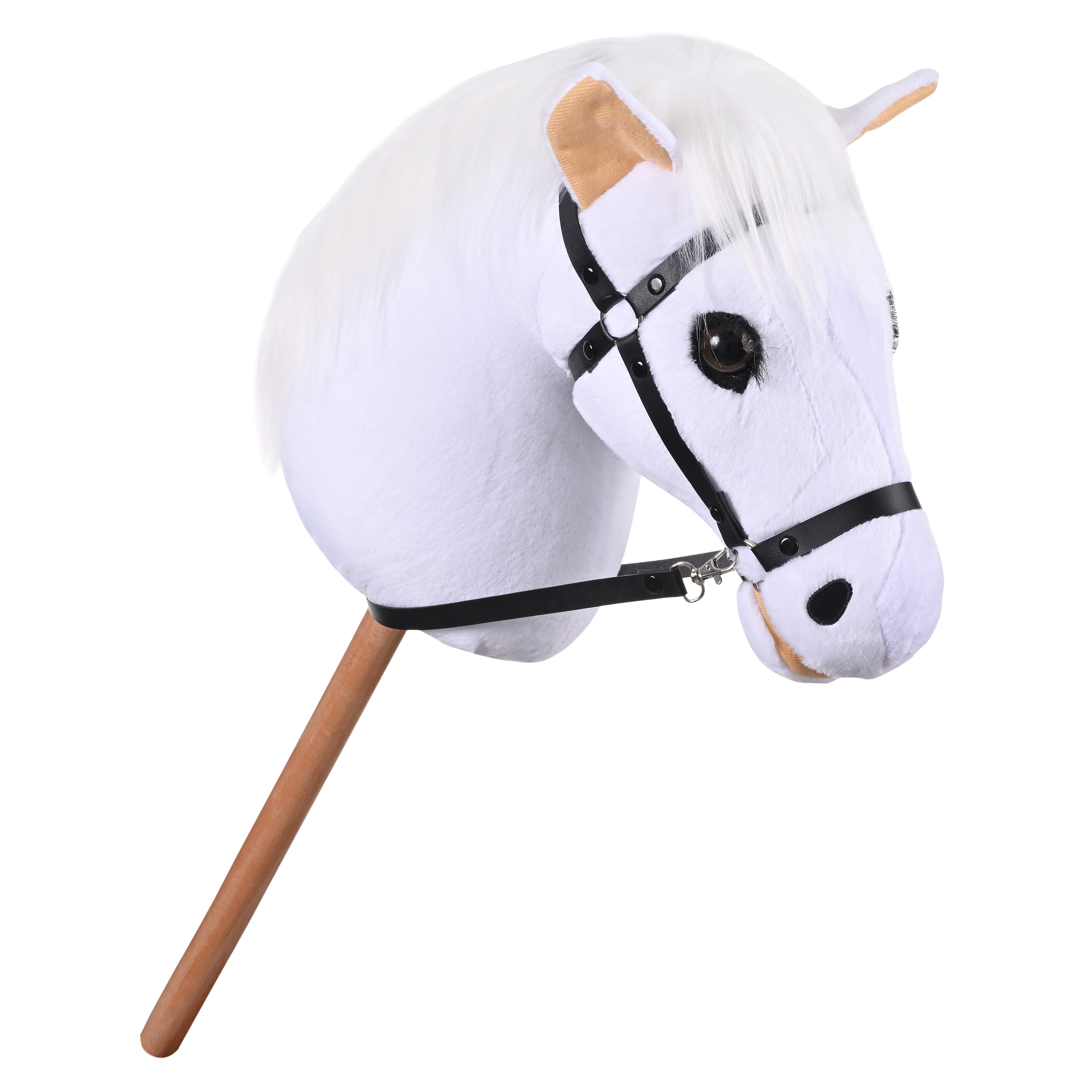 Hobby Horse Grand Prix