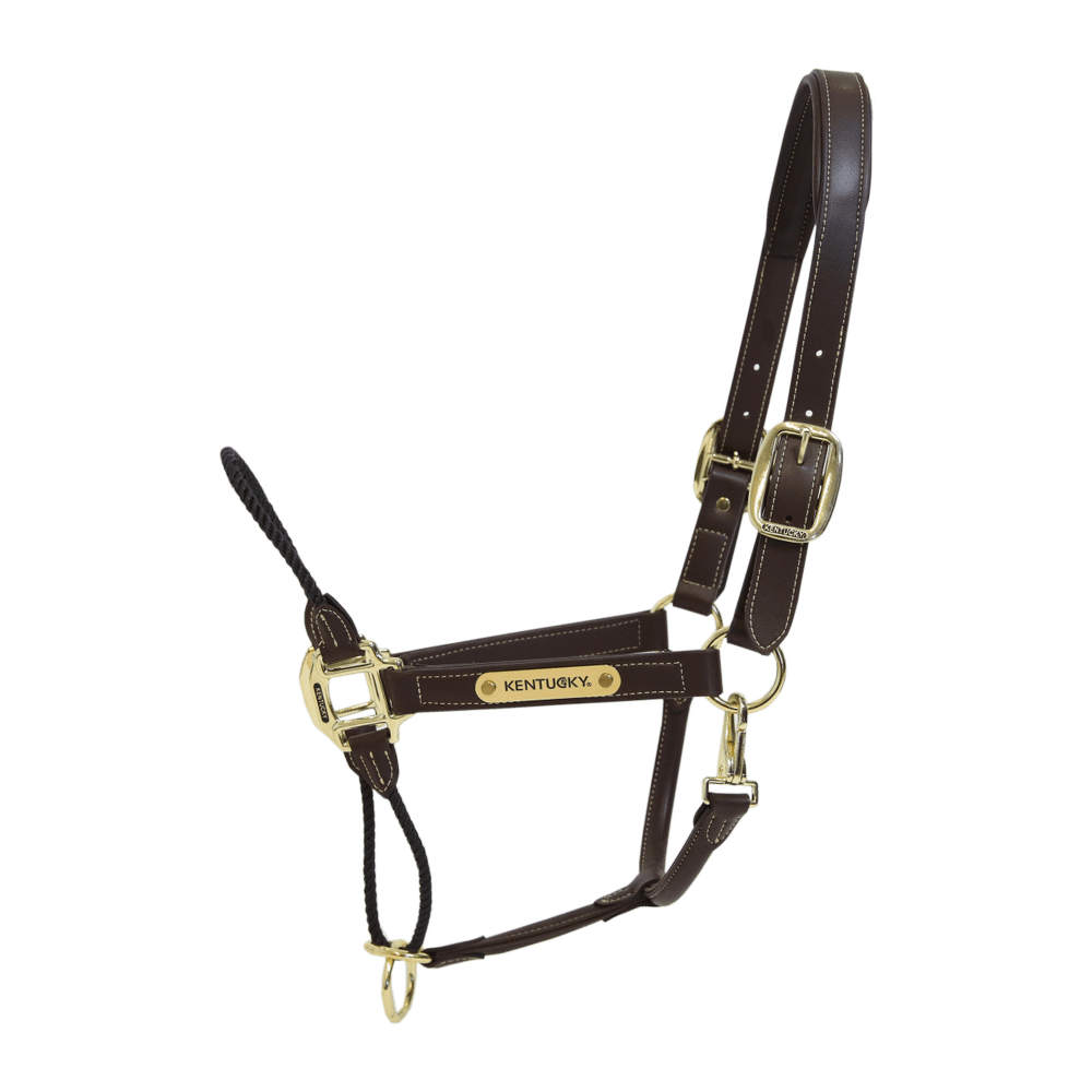 Rope leather halter