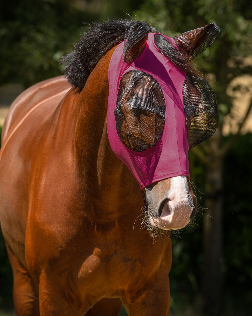 Fly mask Super Bug
