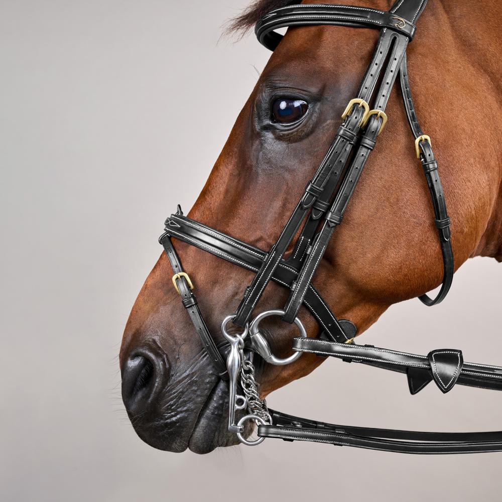 Kandare mit kombiniertem Reithalfter DY | Dy'on