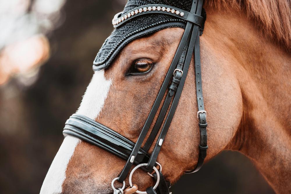Fliegenhaube Wellington Glitter Band