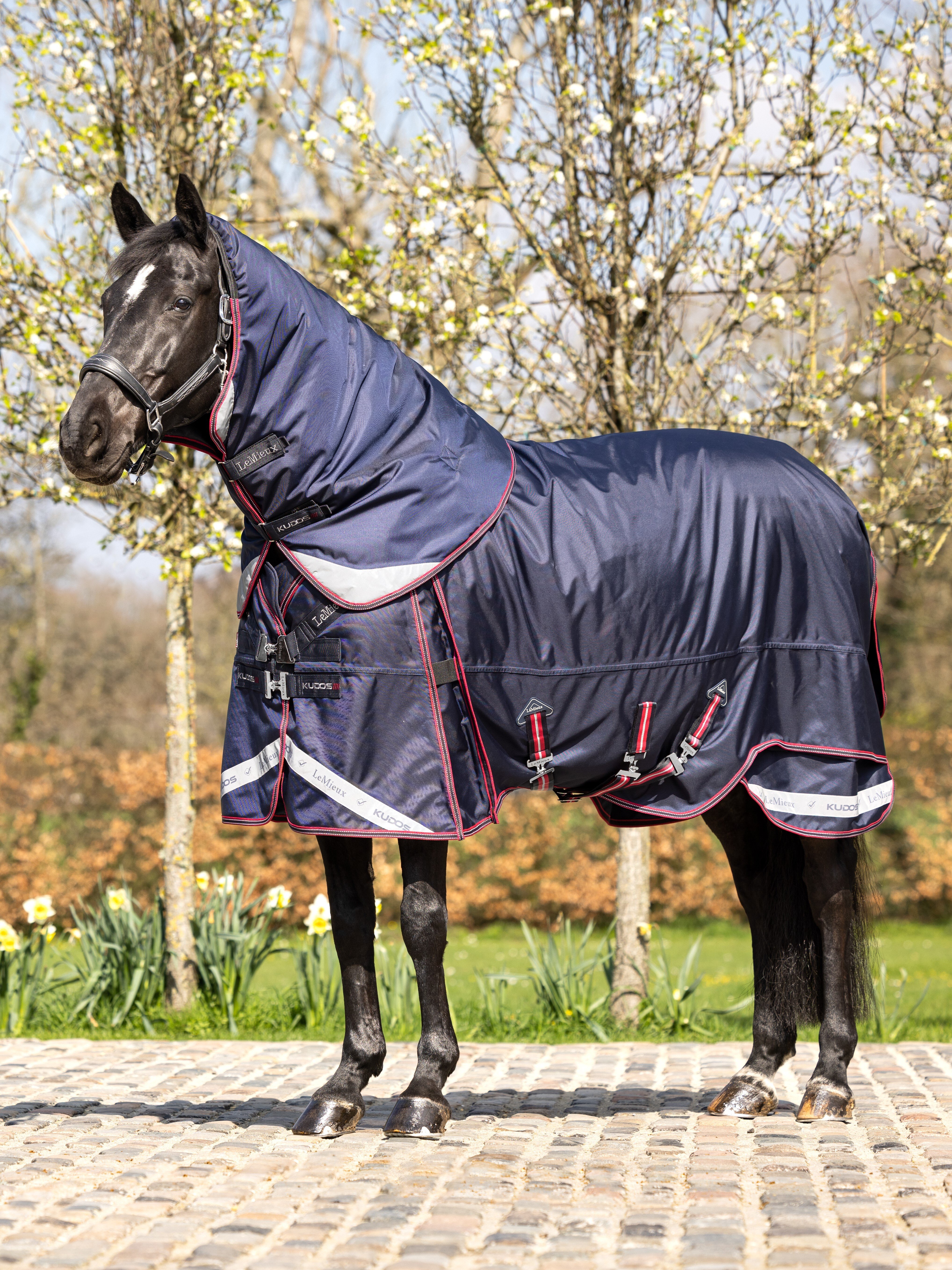 Kudos Thermo Layer Turnout Rug 100g