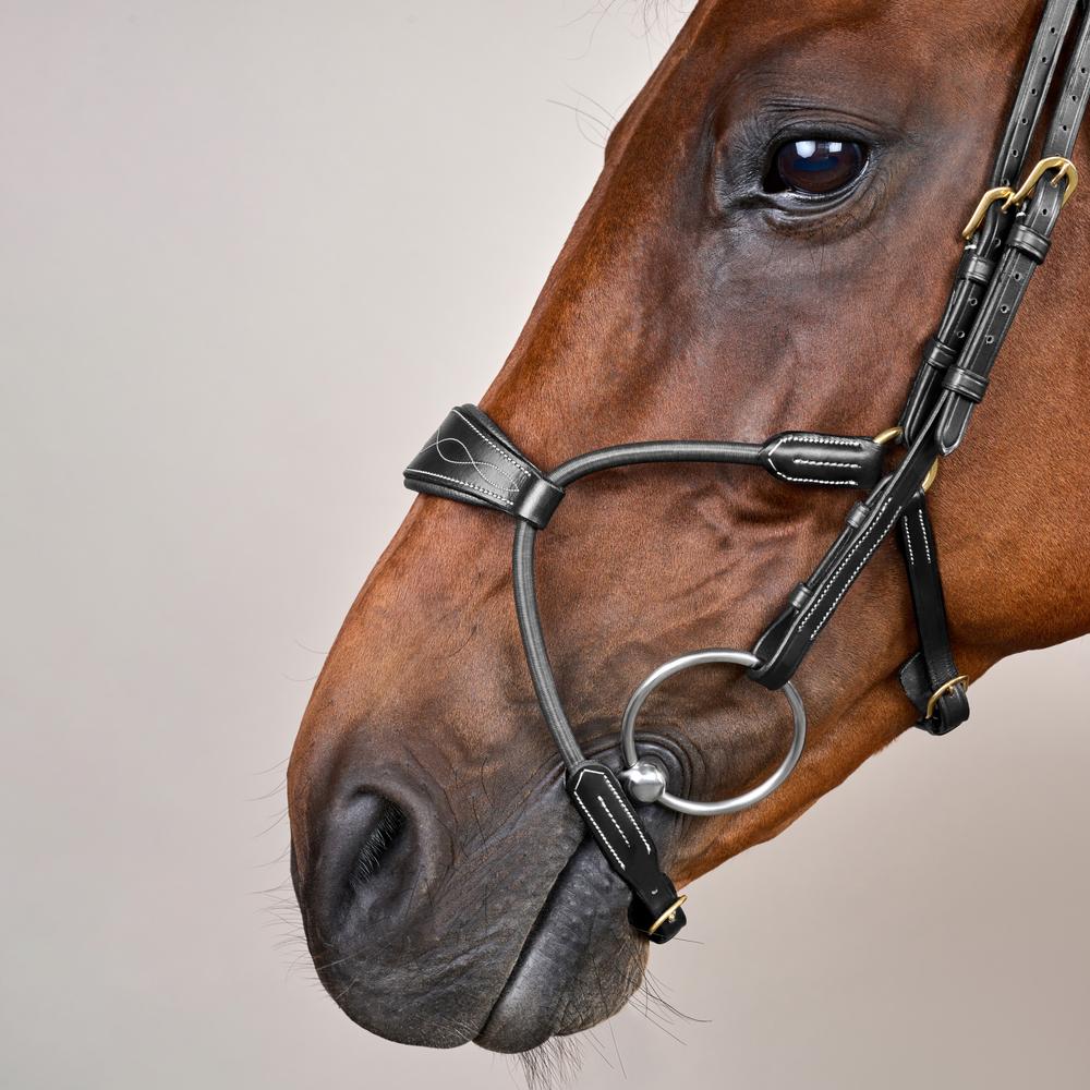 Hybrides Elastisches Zaumzeug DY |