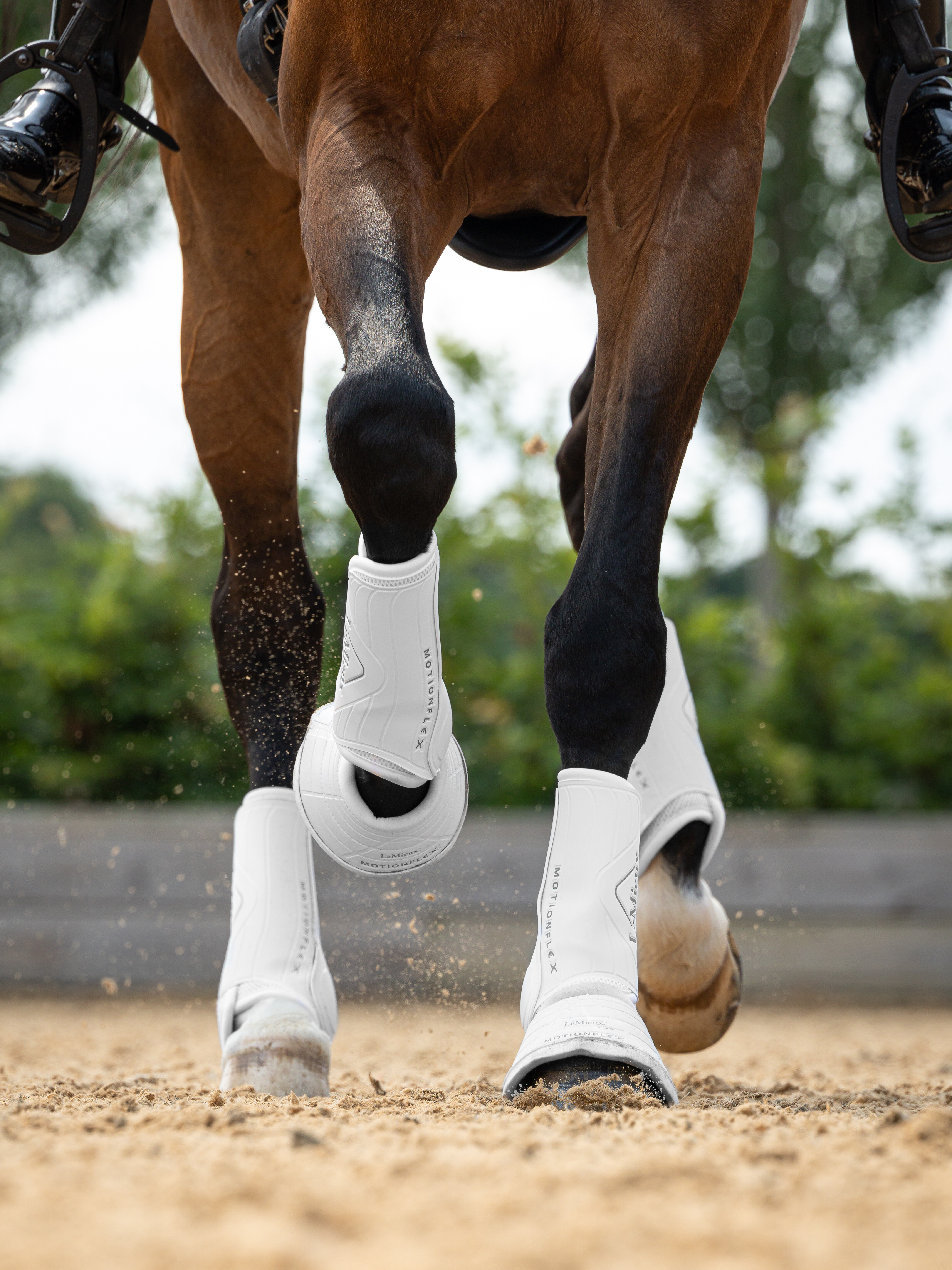 Motionflex dressage boots