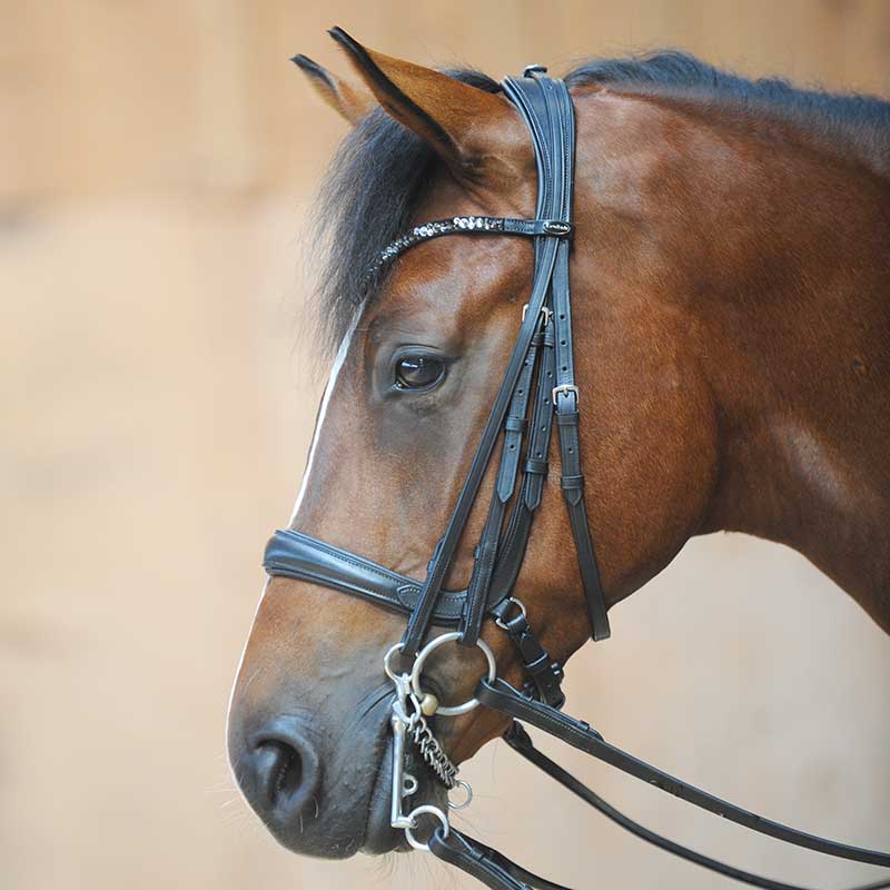 Ivonne" combi double bridle, close-fitting.