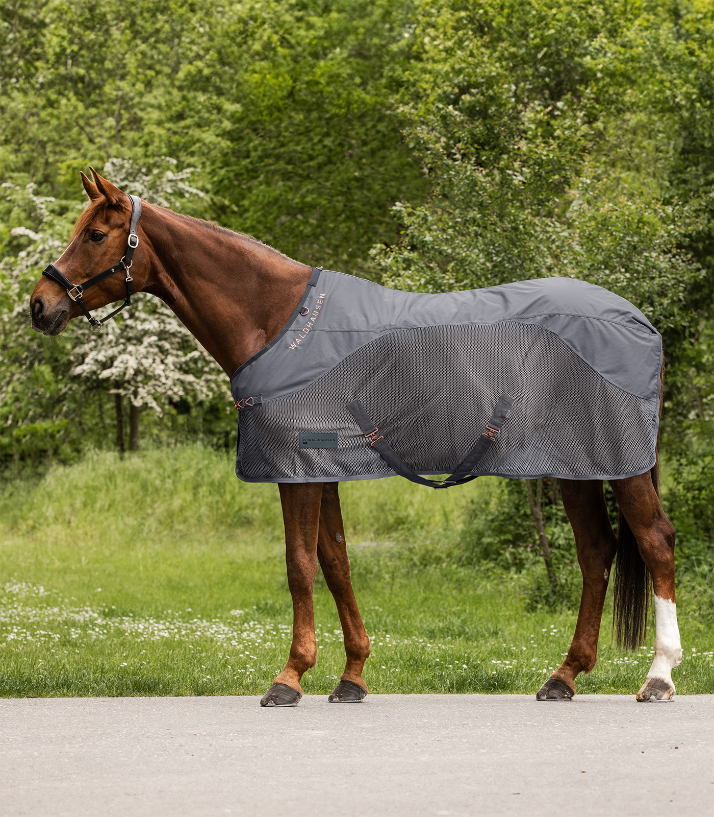 Comfort rain fly rug