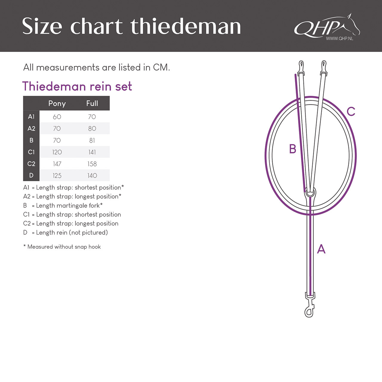 Thiedemannzügel Set