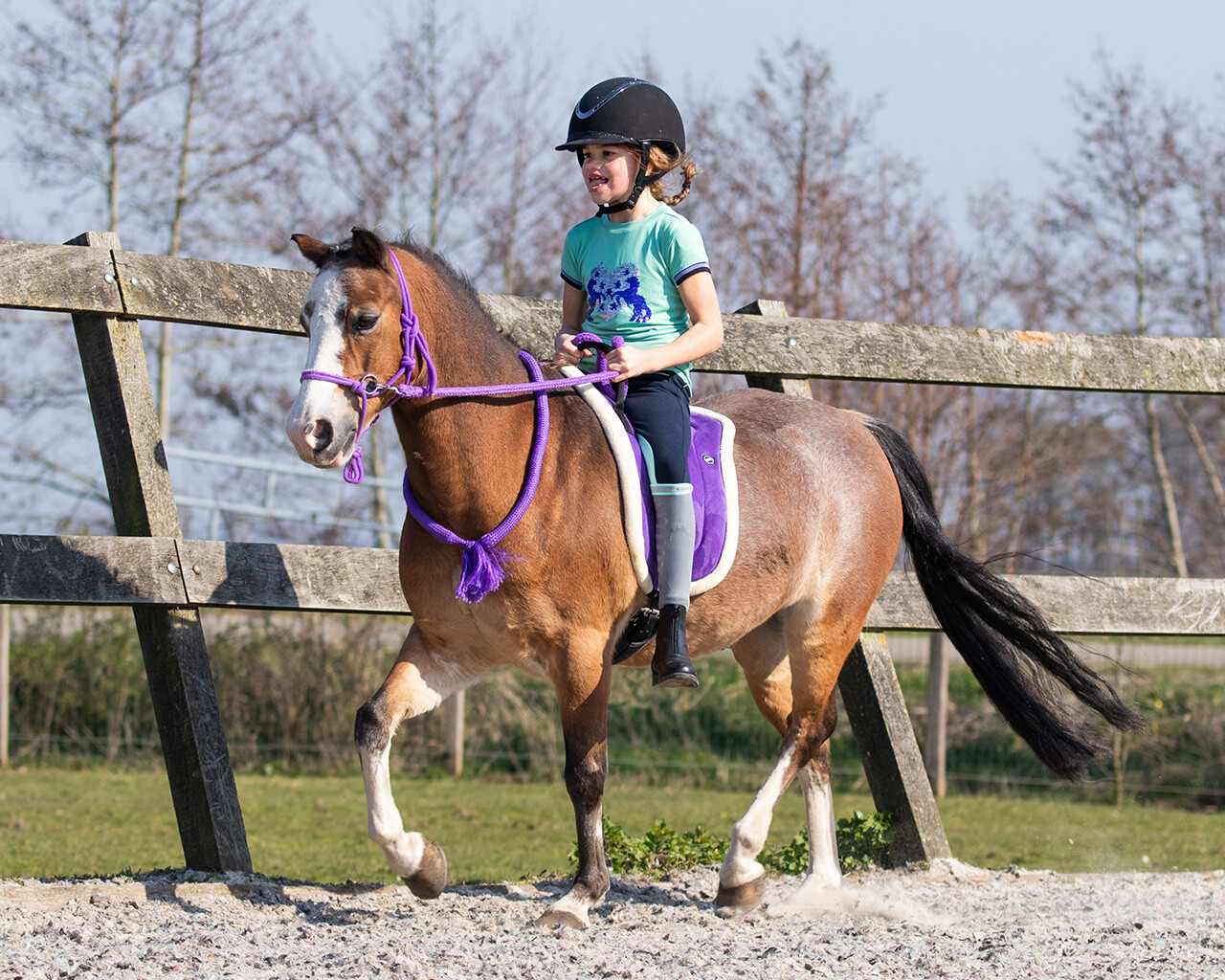 Knotenhalfter mit Zügel