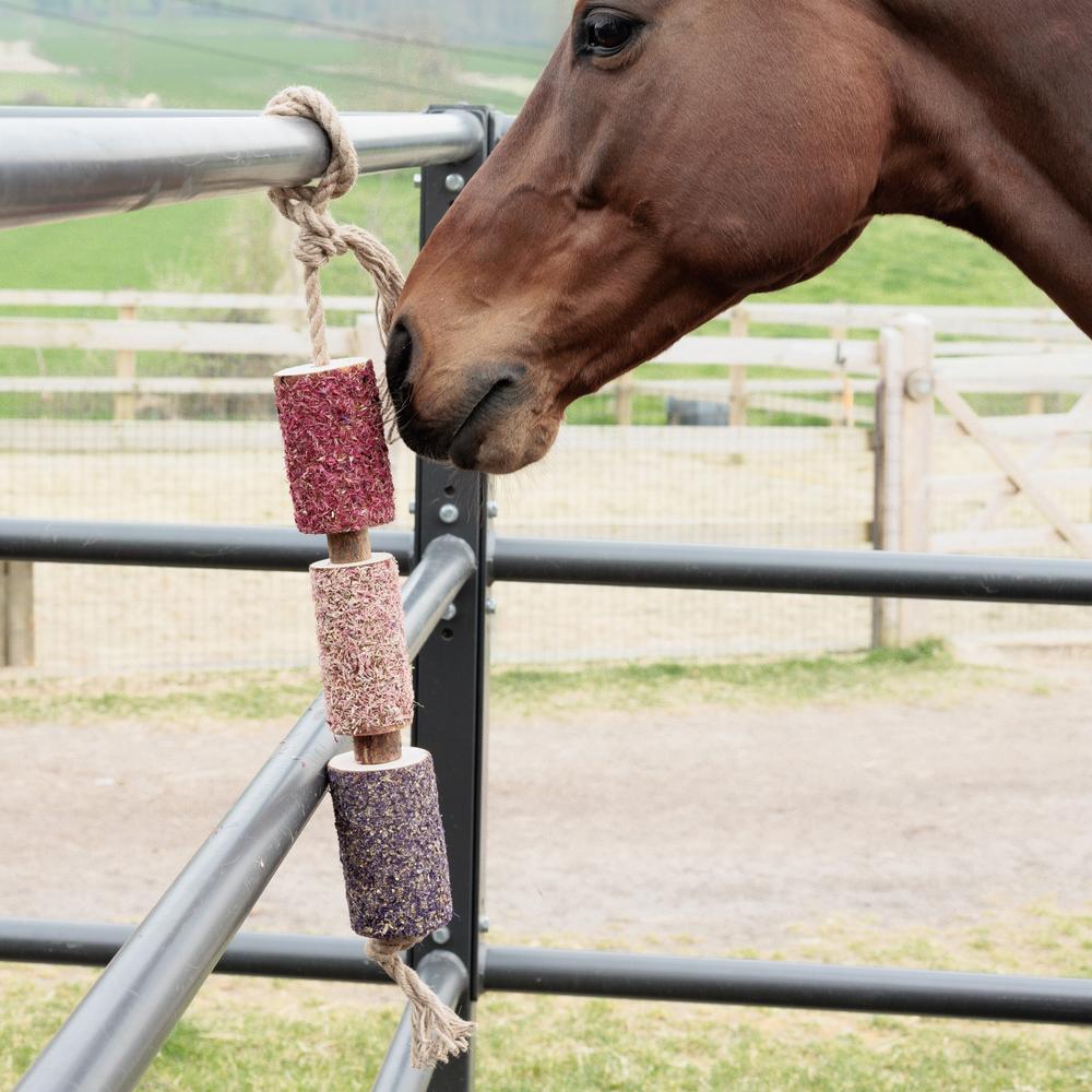 Holz relax horse toy