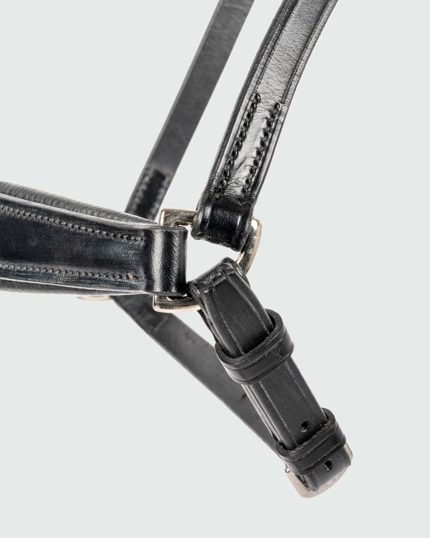 Hanoverian noseband