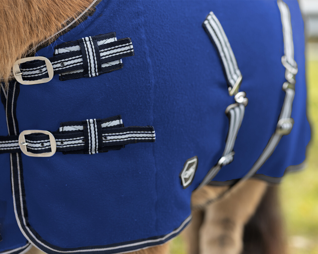 Shetty sweat rug with cross surcingles
