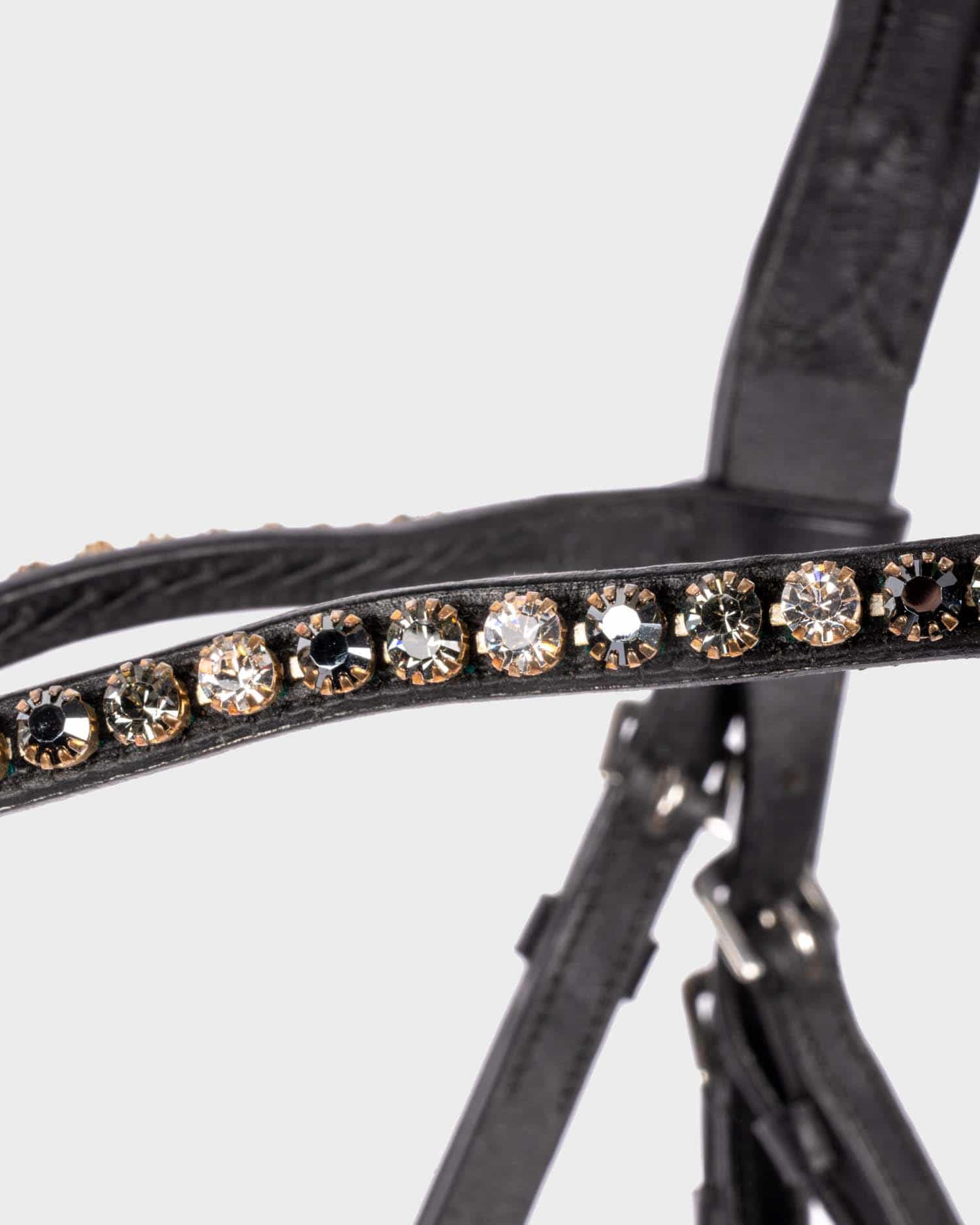 Snaffle "Fiala" hann.