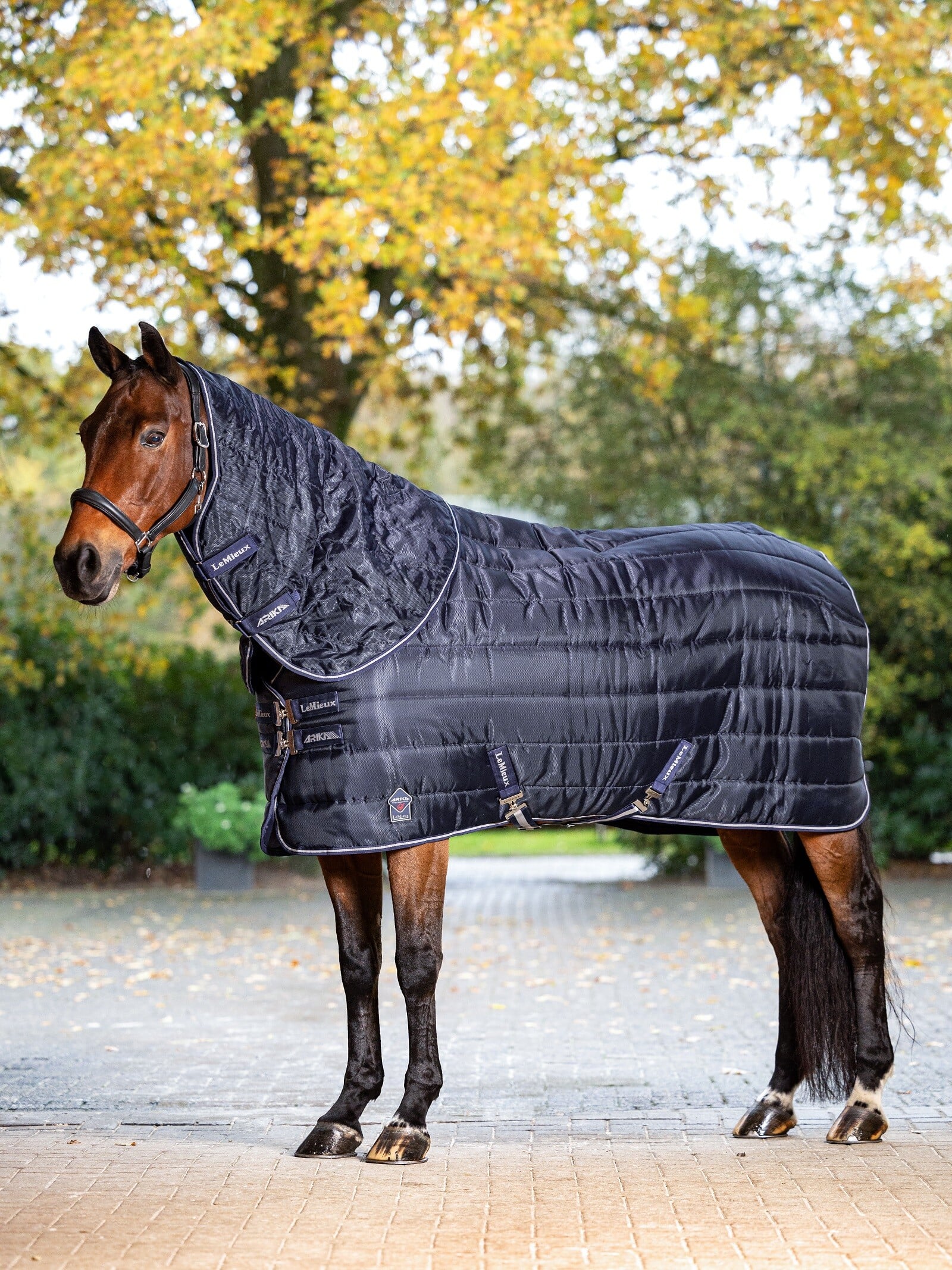 Arika Stable-Tek Stalldecke 200g
