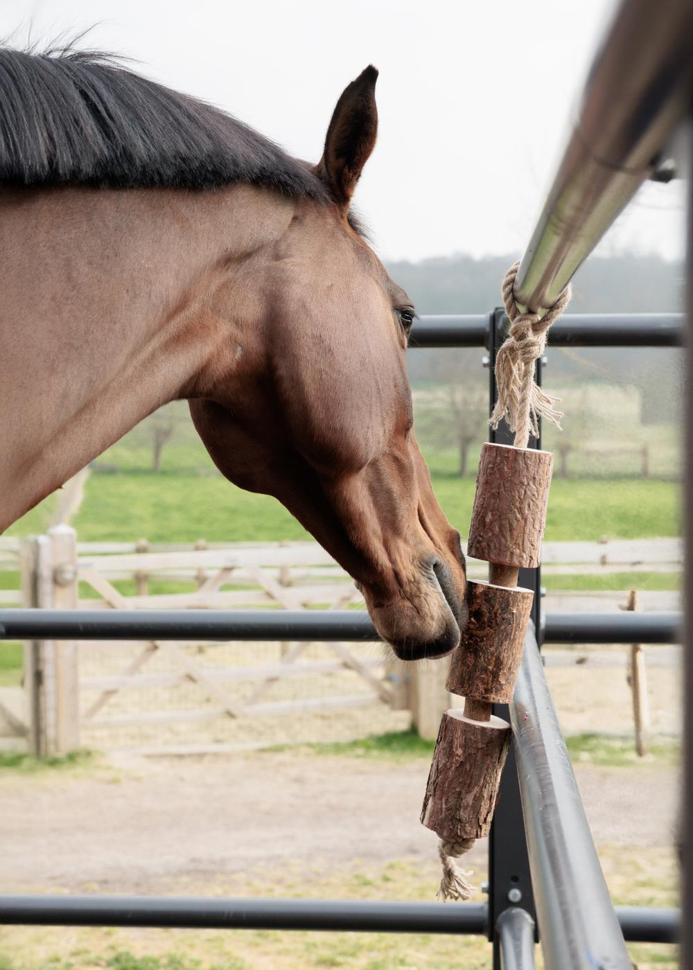 Holz relax horse toy