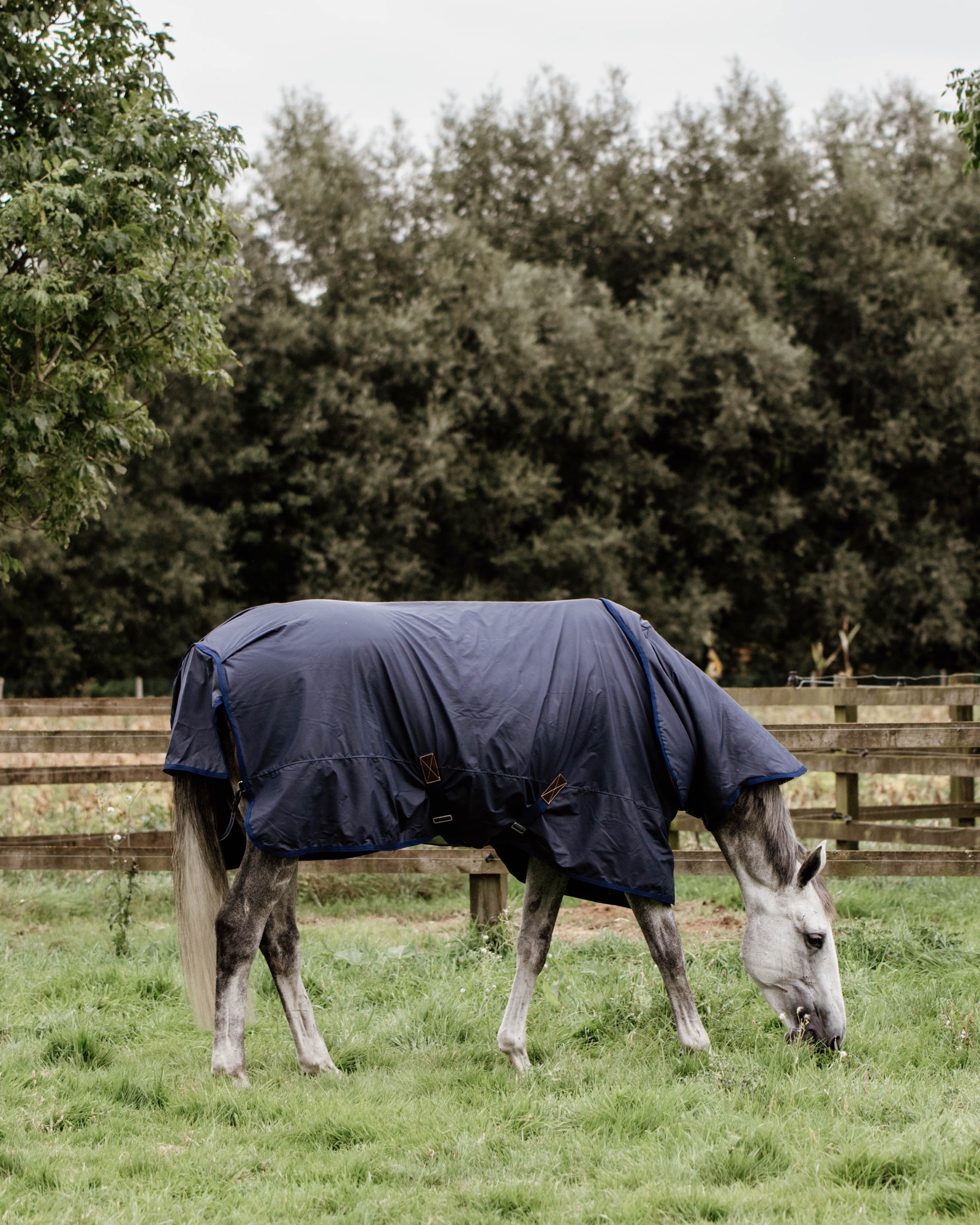Outdoor rug All Weather Hurricane 50g