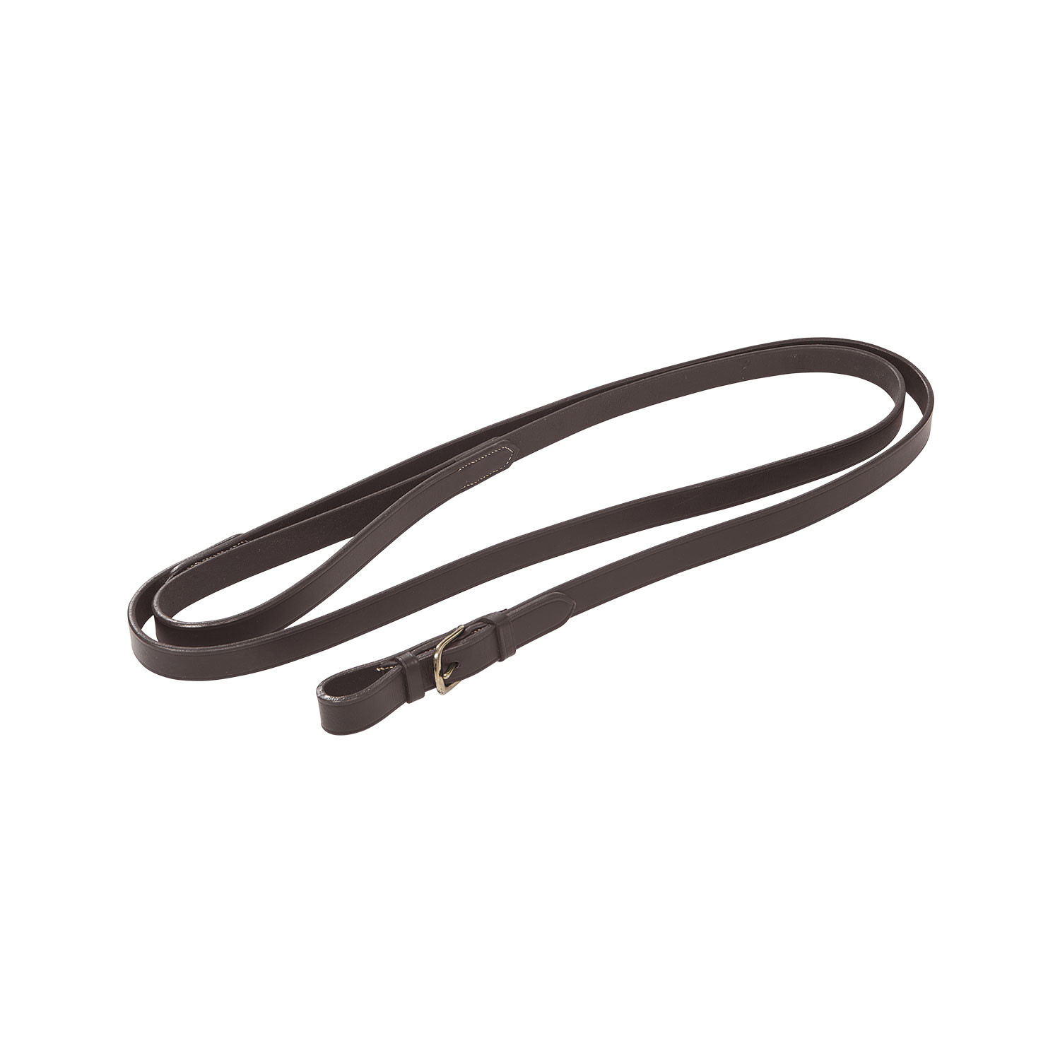 Lead rope with sturdy brass chain