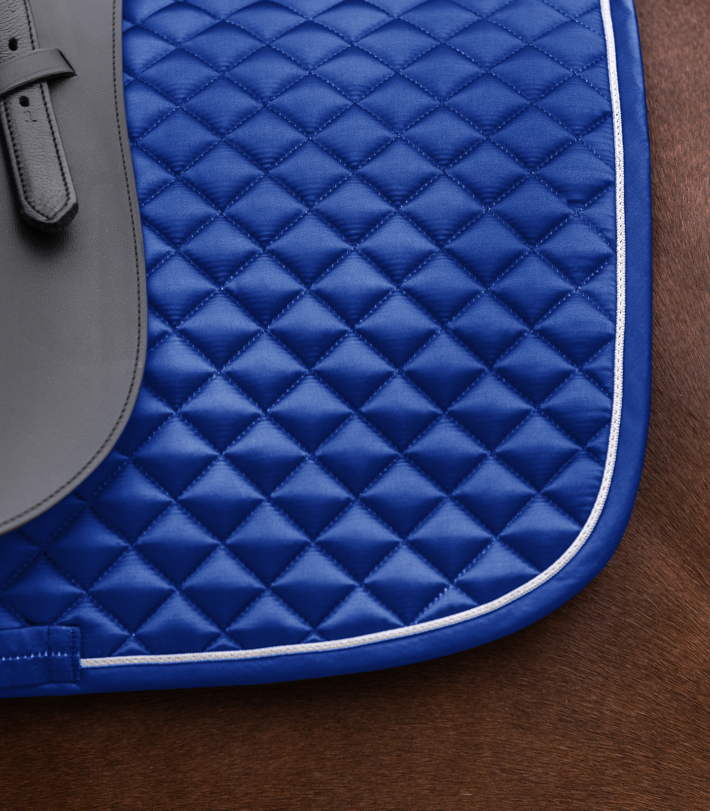 Schabracke Felix Glam