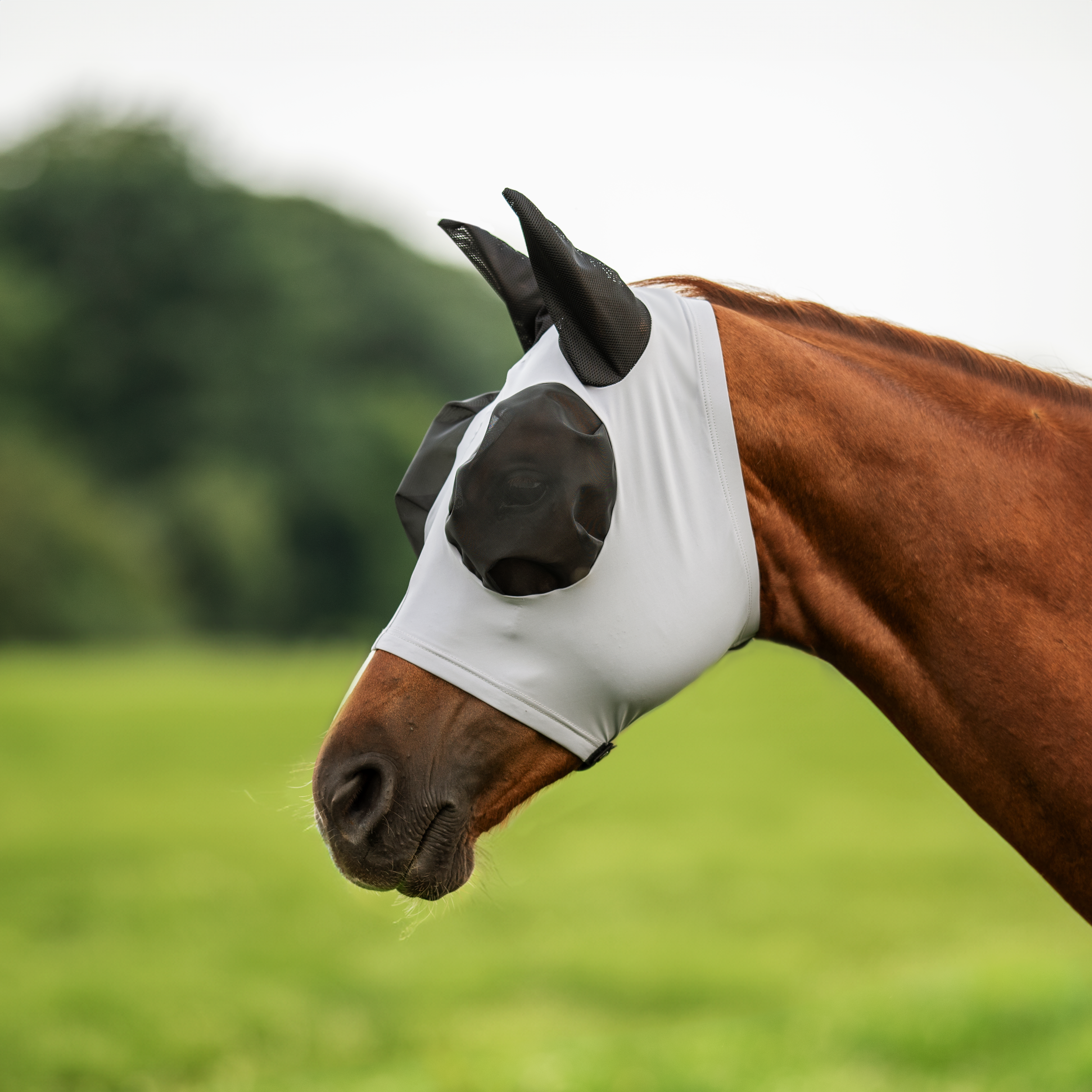 Fly mask TWIN FIT FLEXI CL