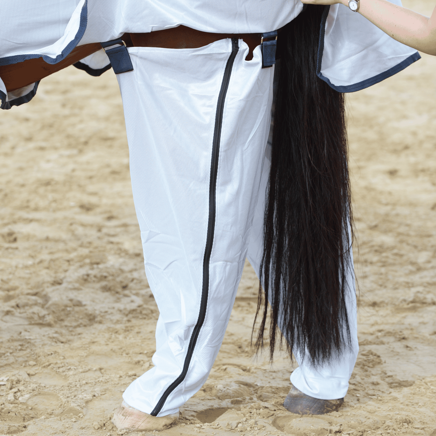 Hinterbein-Fliegenschutz Complete Plus