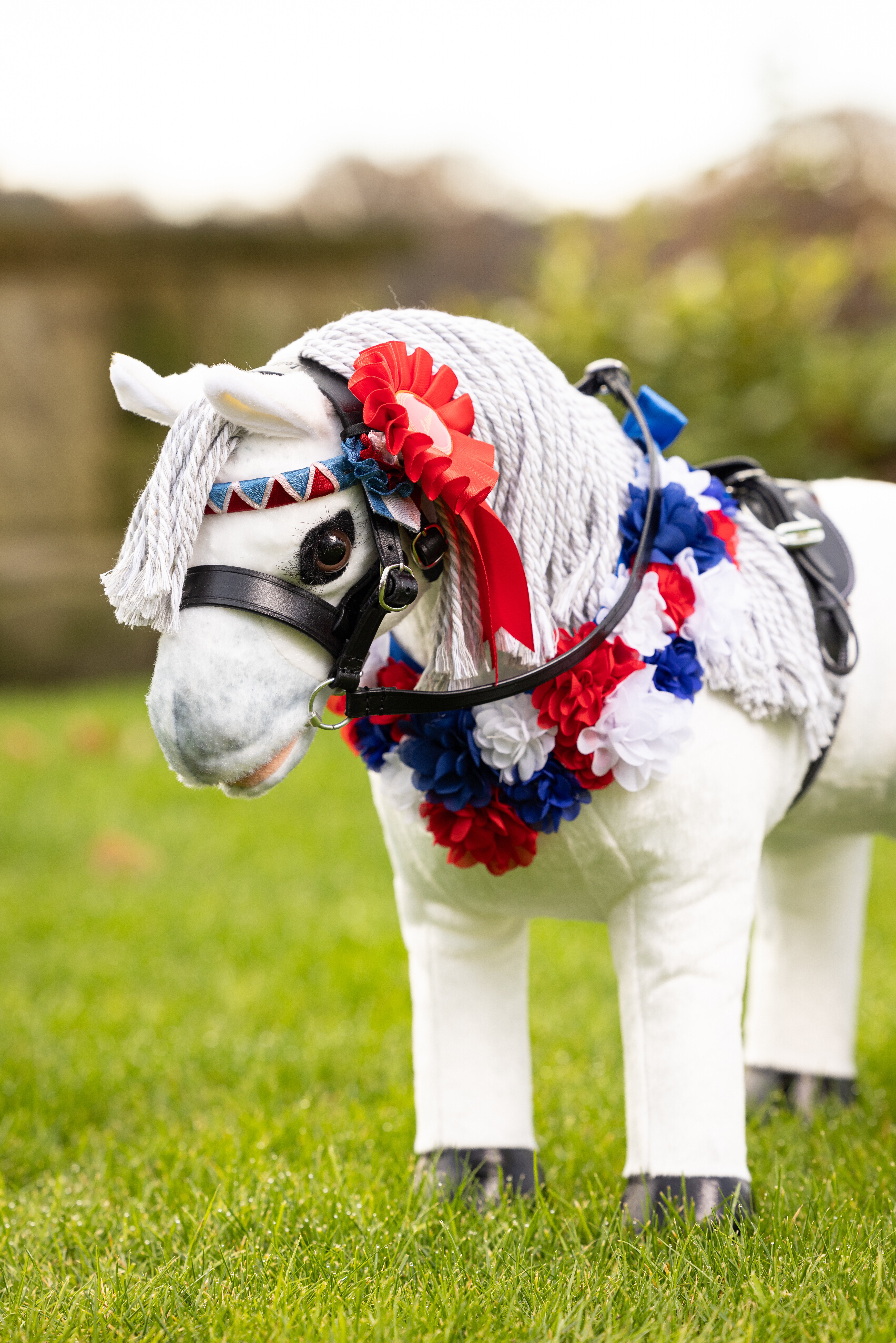 Toy Pony set de limage
