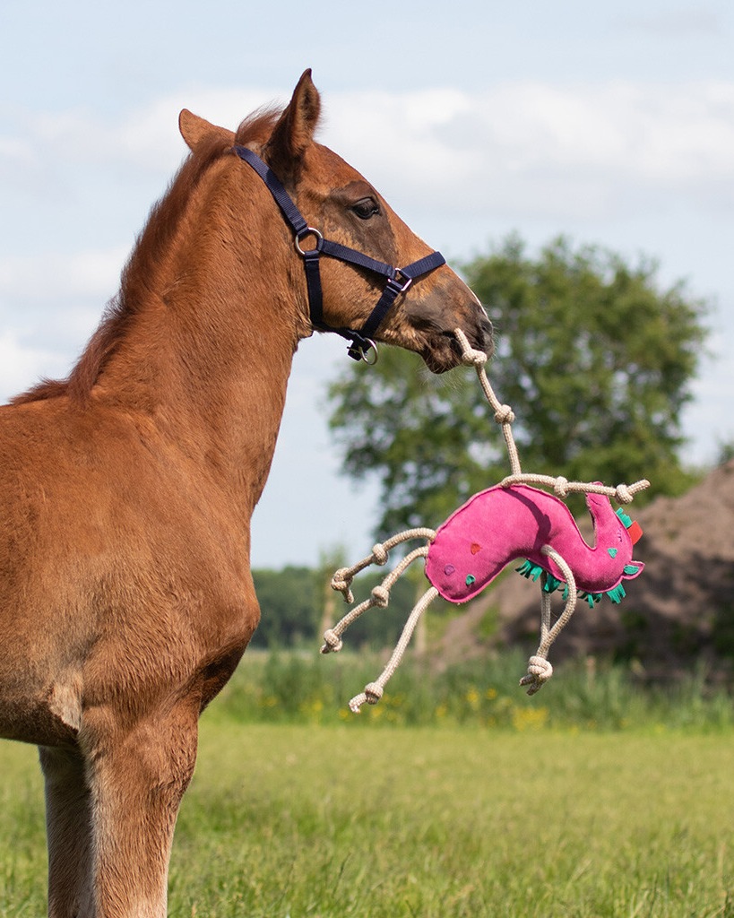 Horse toy