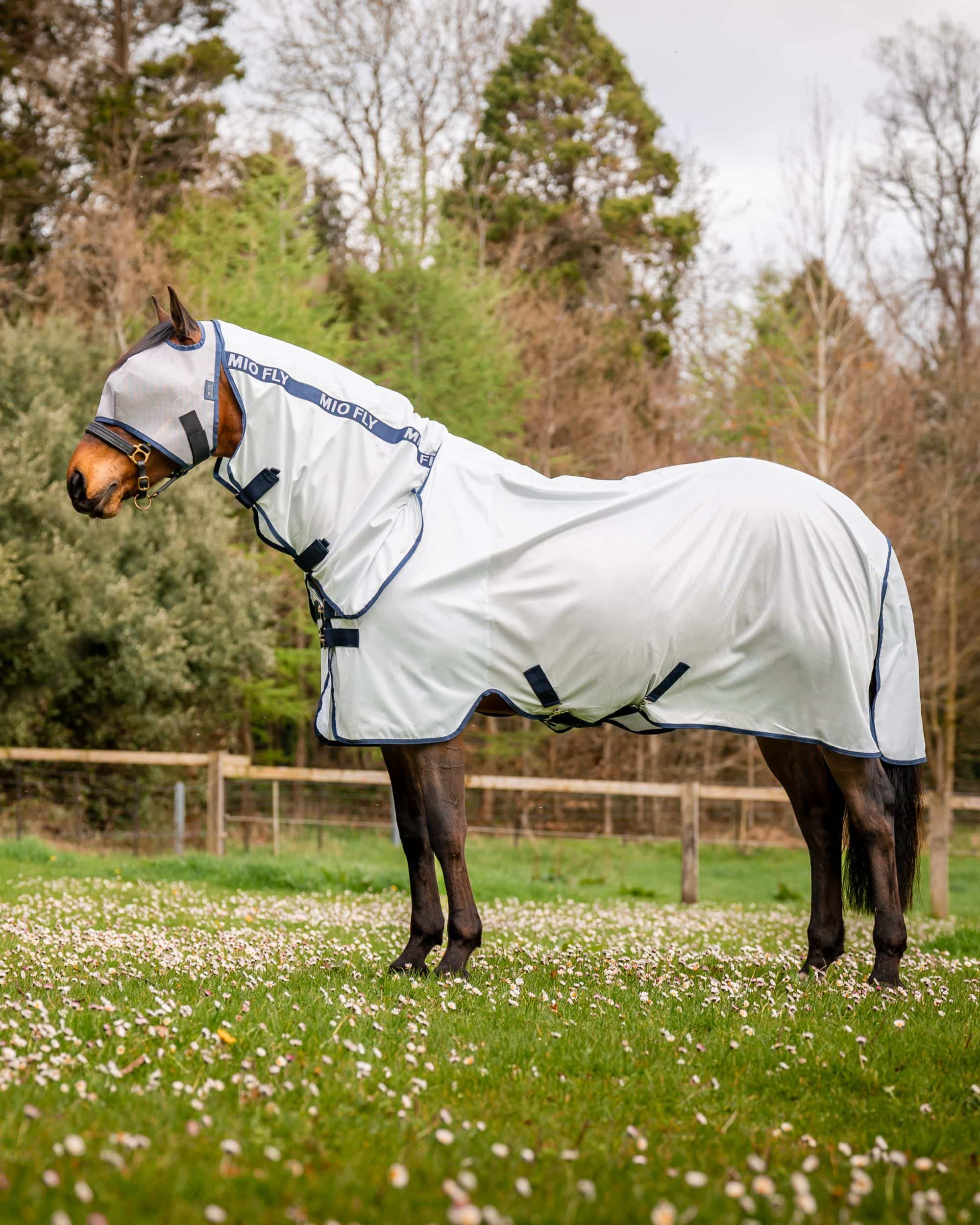 Fly rug Mio Fly Rug in lunar rock/navy