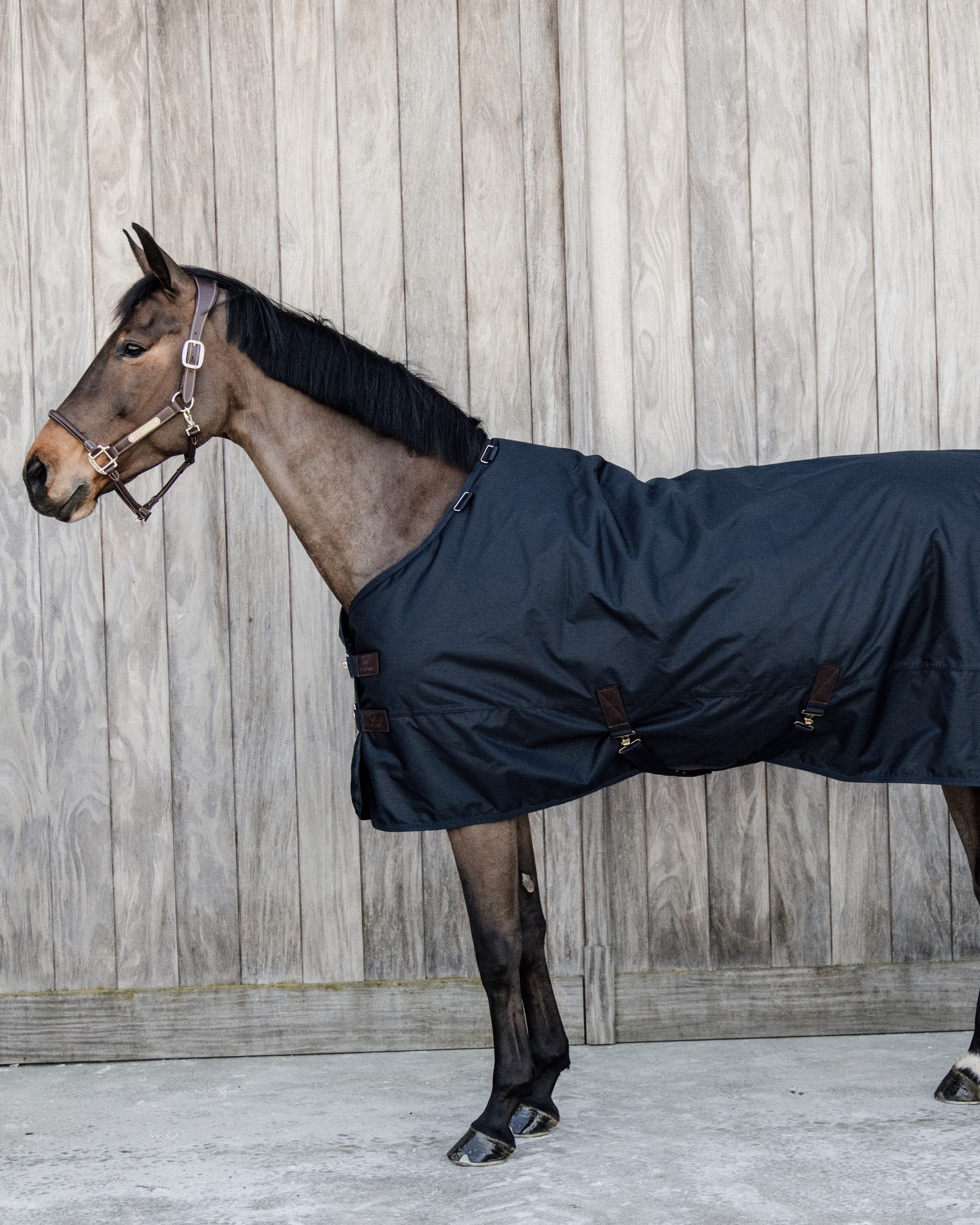 Outdoor rug All Weather waterproof Classic 50g