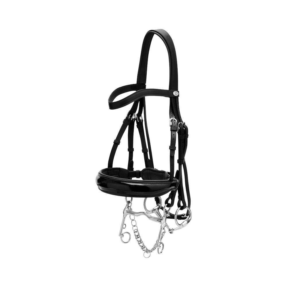 Kandare Working schwedisch Lack in schwarz