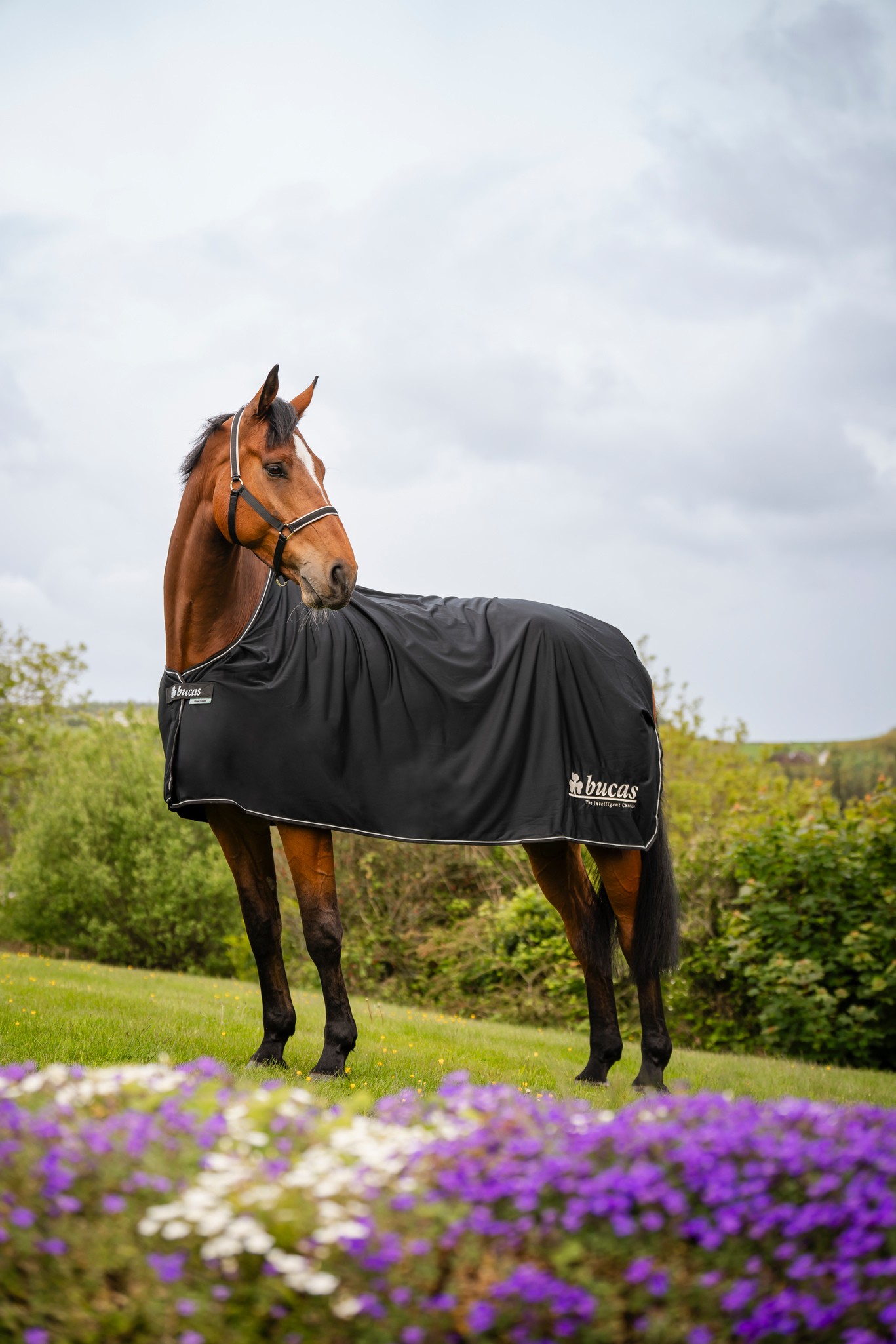 Abschwitzdecke Power Prize Cooler in Black/Silver Logo
