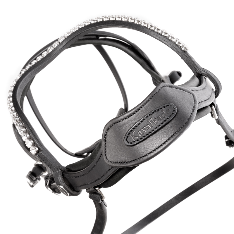 Bridle oiled leather "Caliano Via" close-comb.