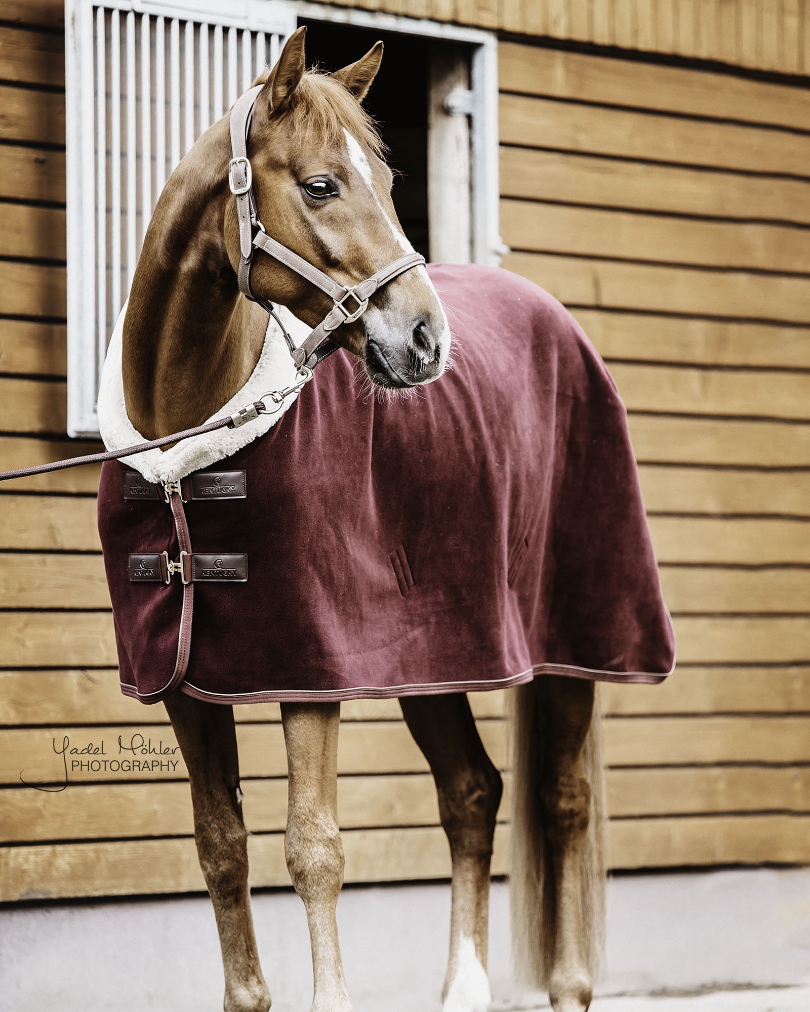 Fleece Show Heavy sweat rug