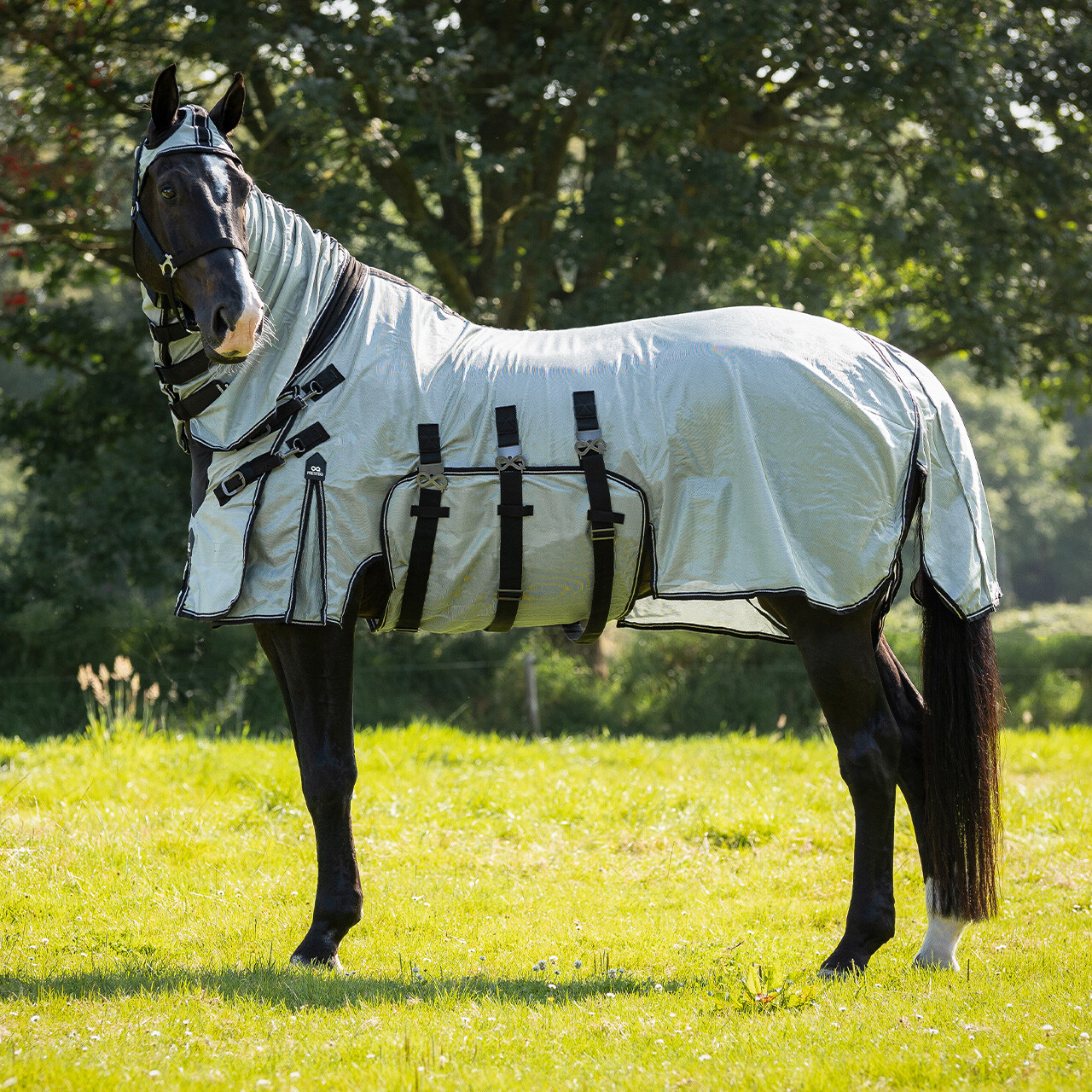 Fly rug SmartProtection