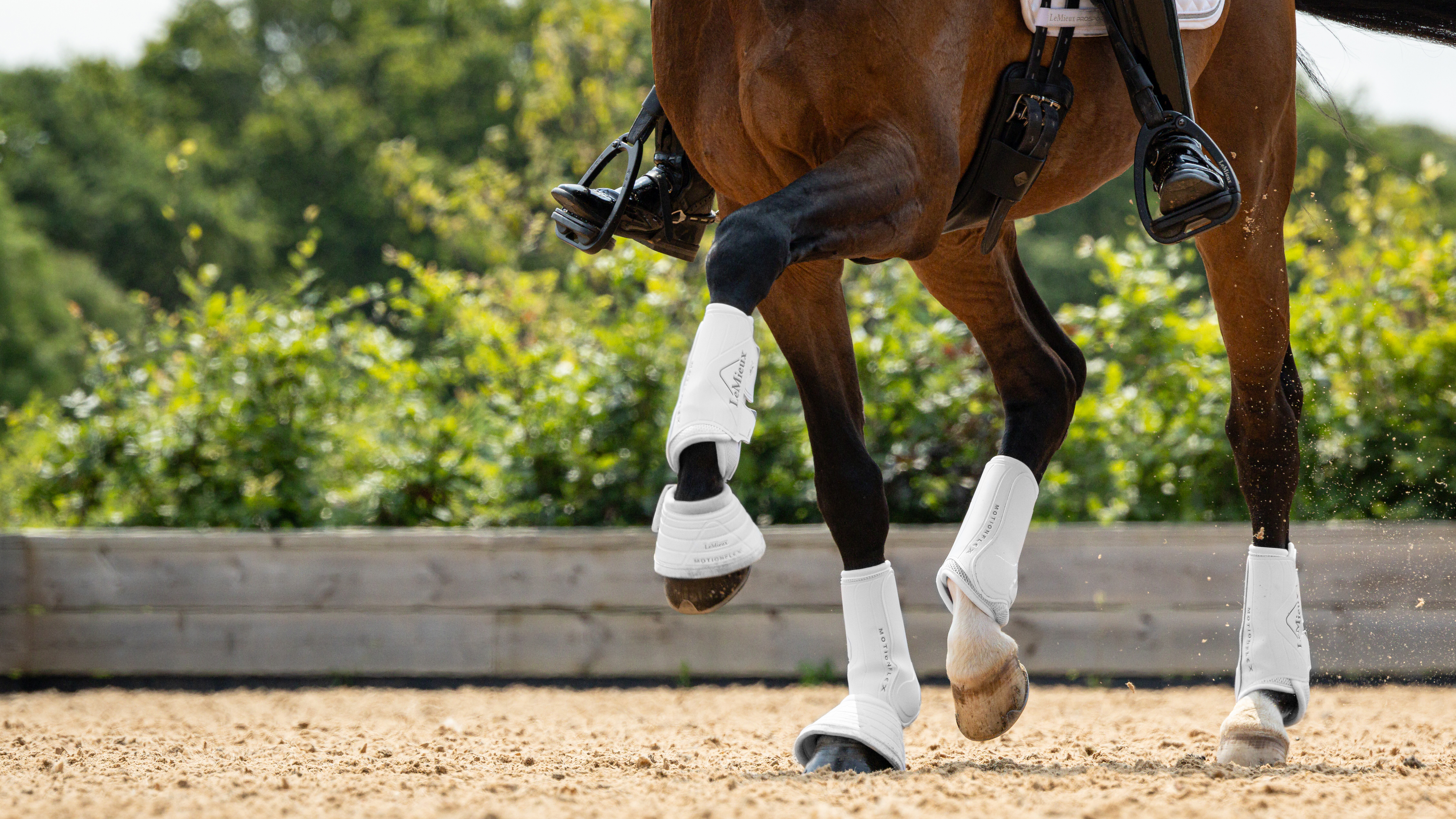 Motionflex dressage boots