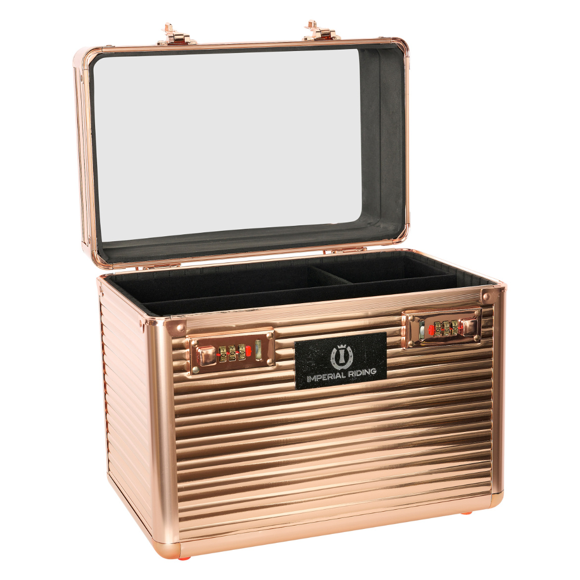 Putzbox Shiny Classic small