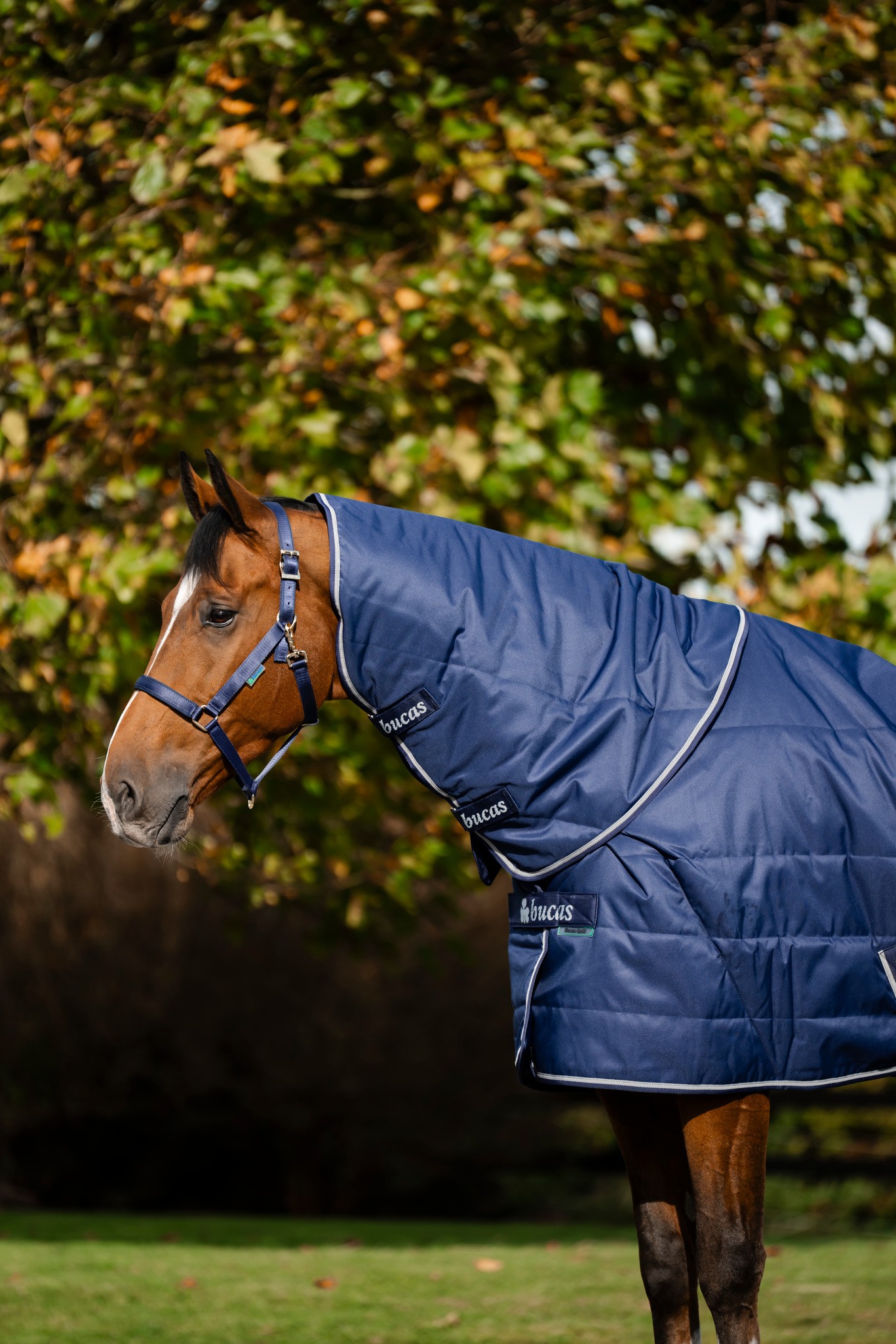 Stalldecke Quilt in Navy