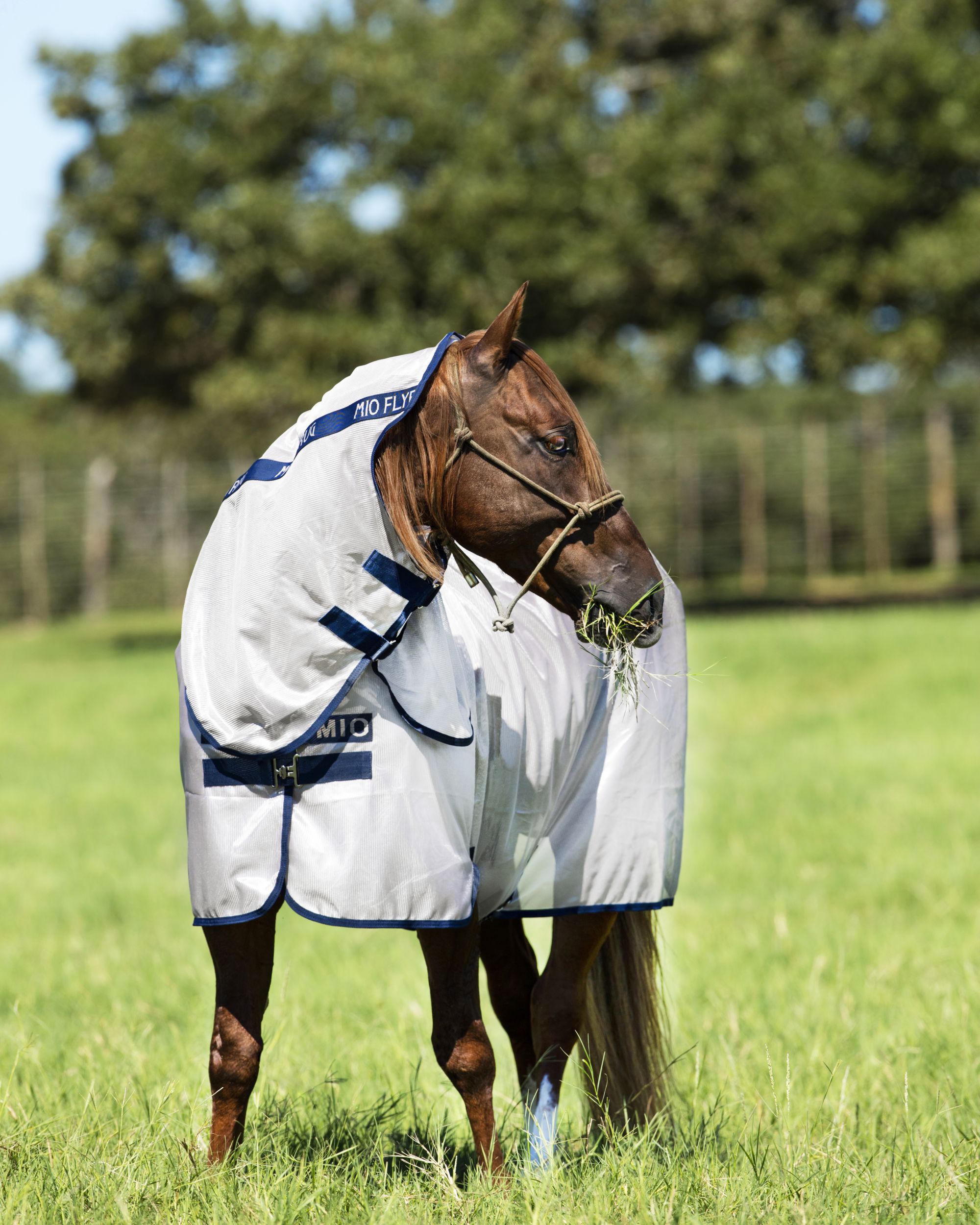 Fly rug Mio Fly Rug in lunar rock/navy