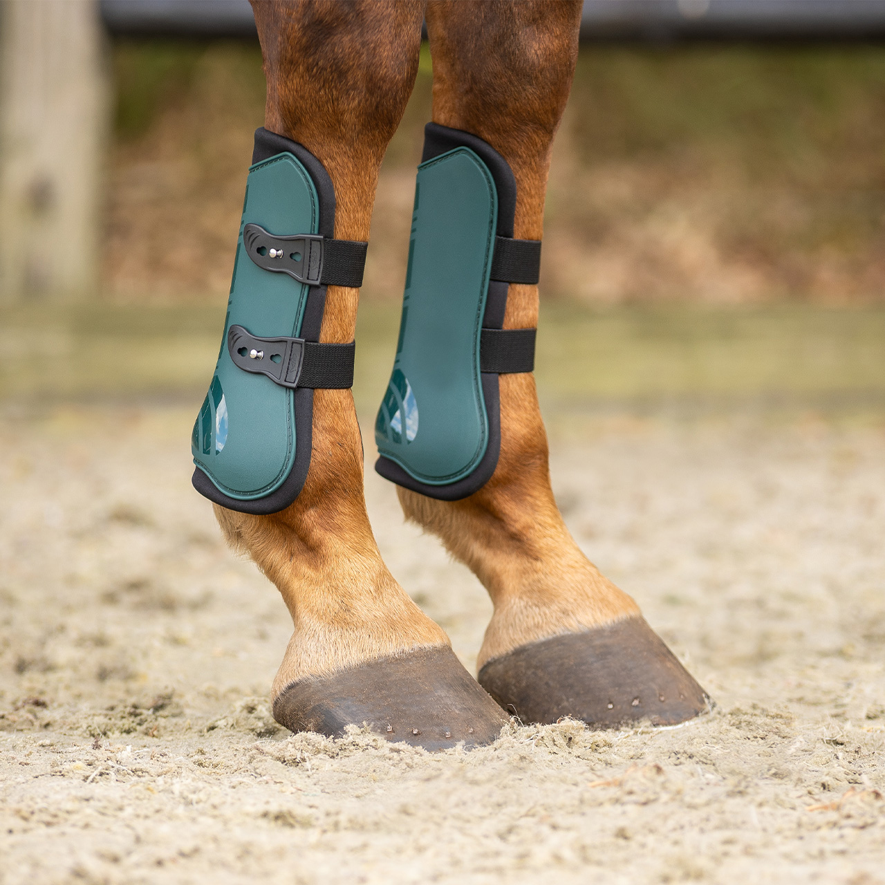 Gaiter set