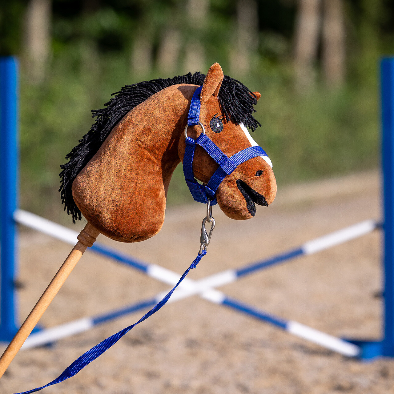 Hobby Horse halter set
