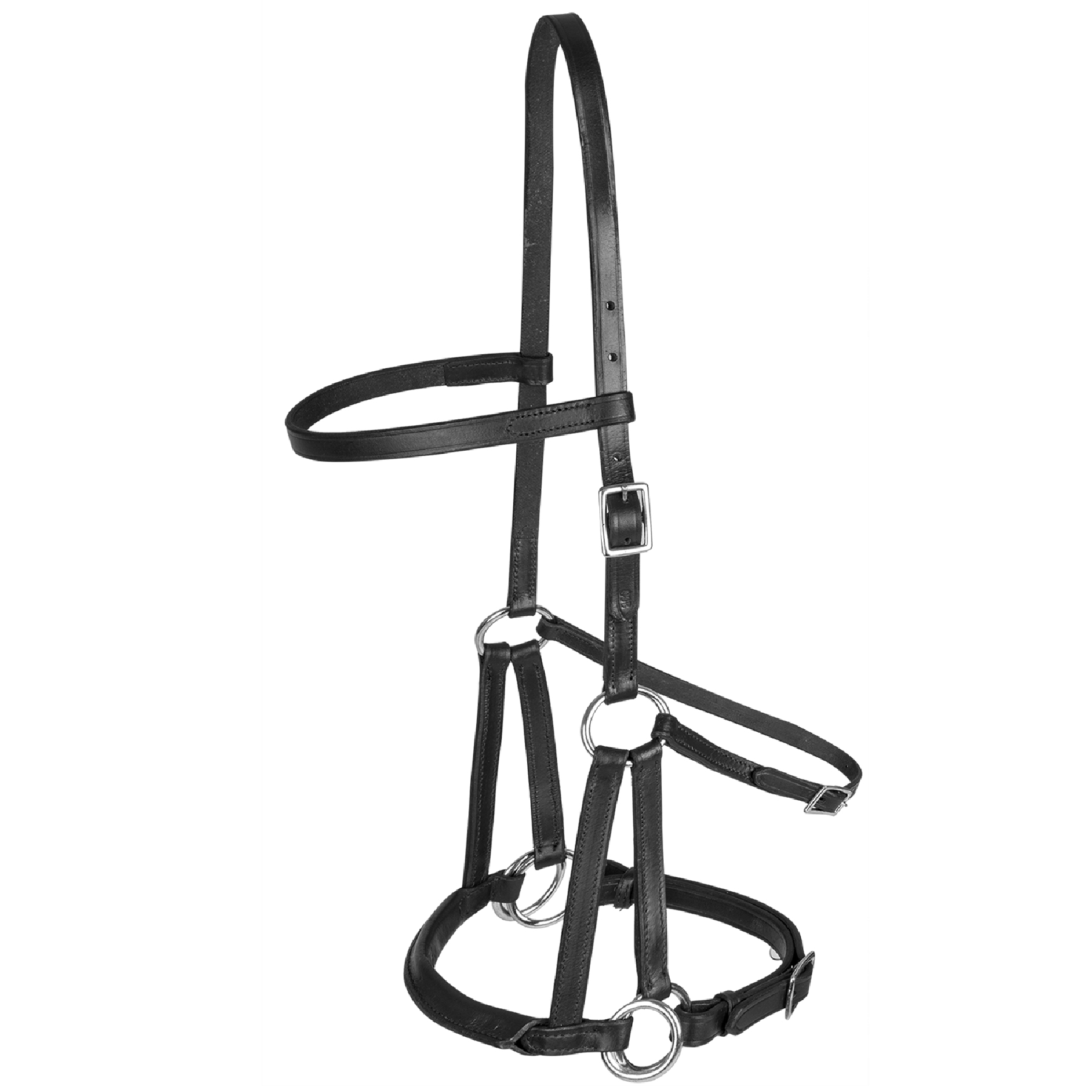 LTJ Lindel