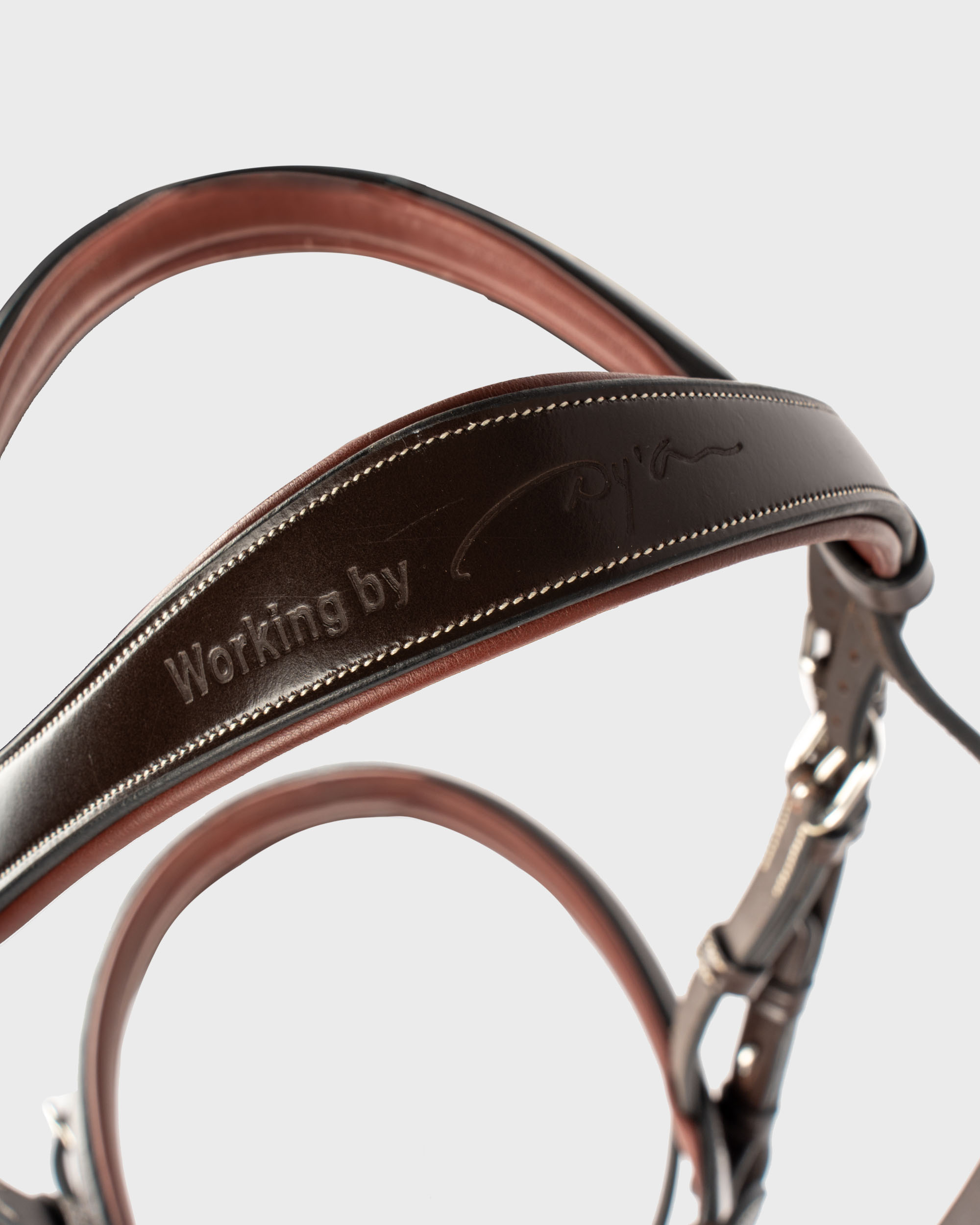 Snaffle Working combined