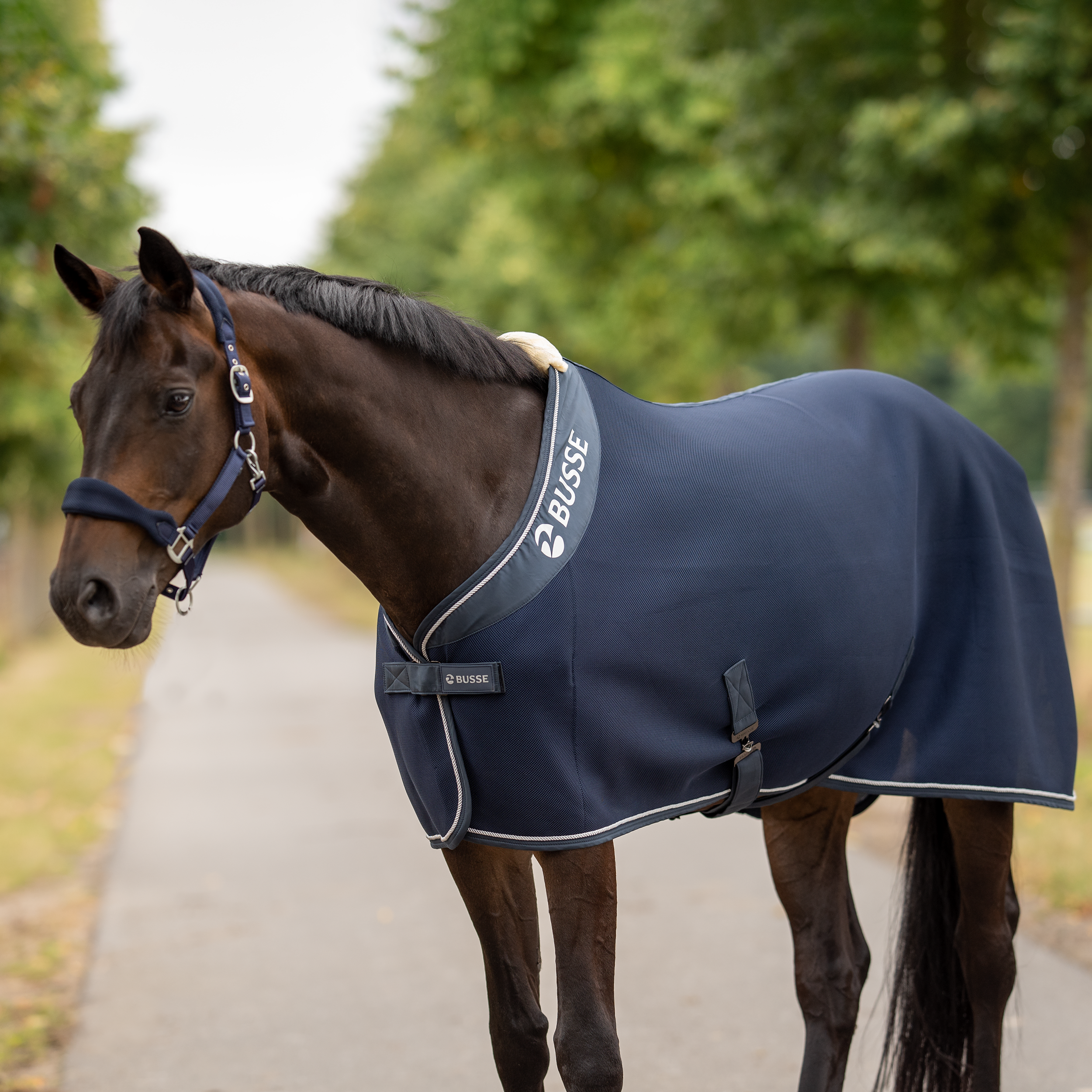 3D Air Premium sweat rug
