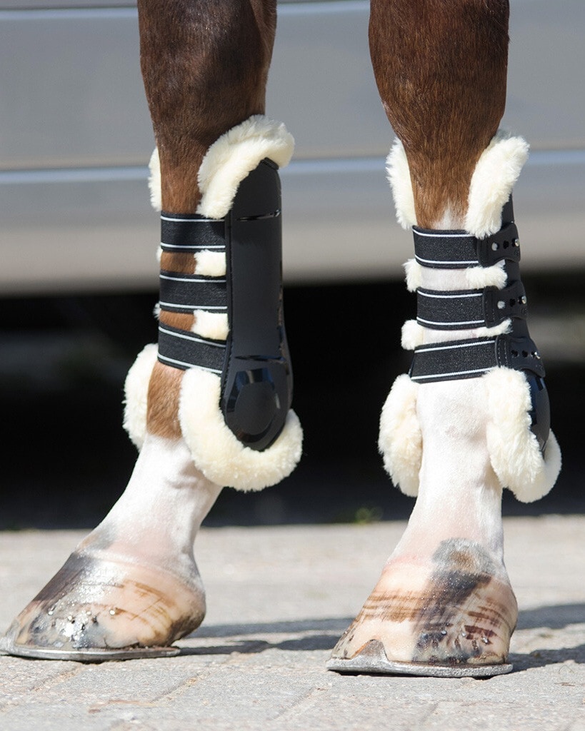 Gaiters Ontario