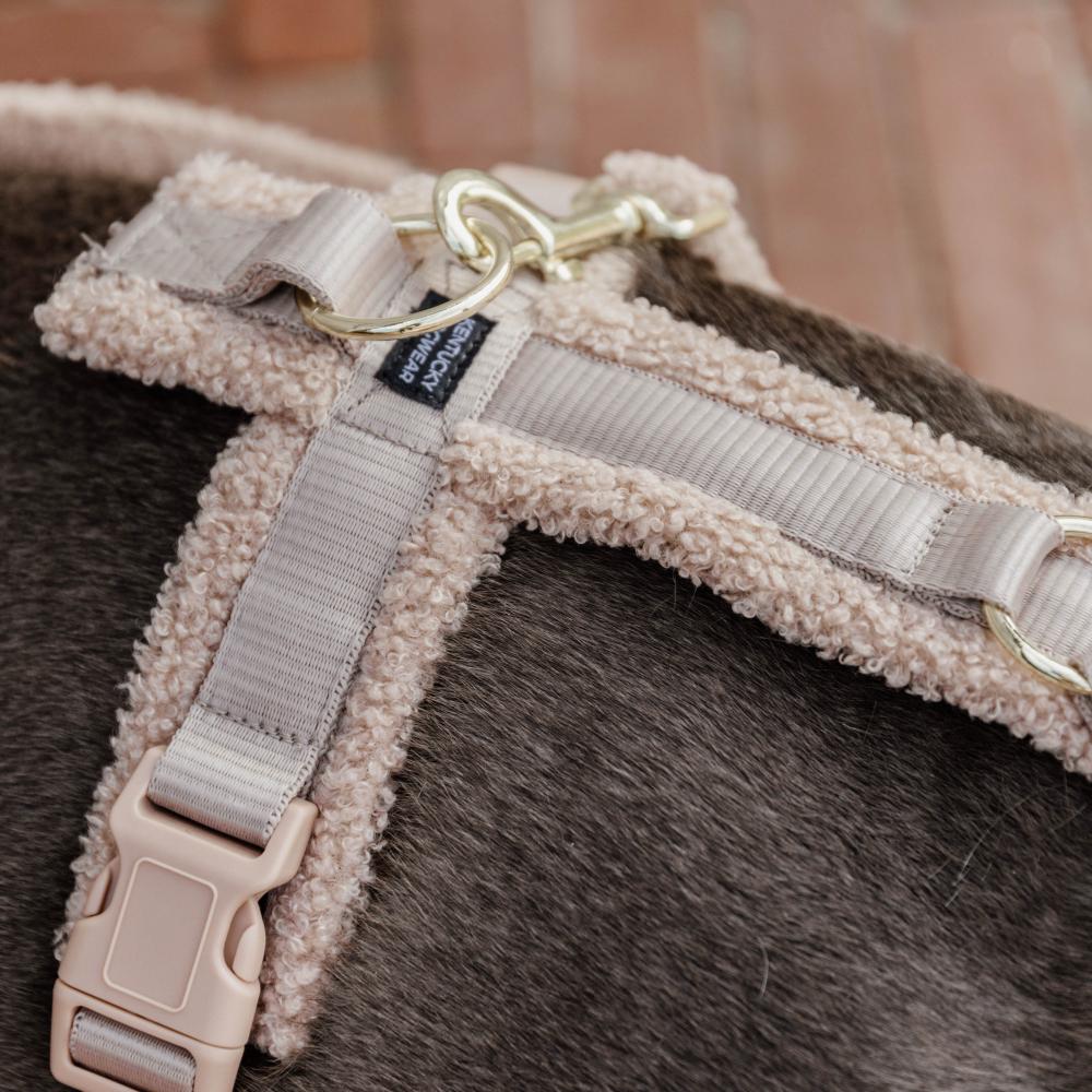 Hundegeschirr Aktiv Teddy Fleece | Kentucky Dogwear